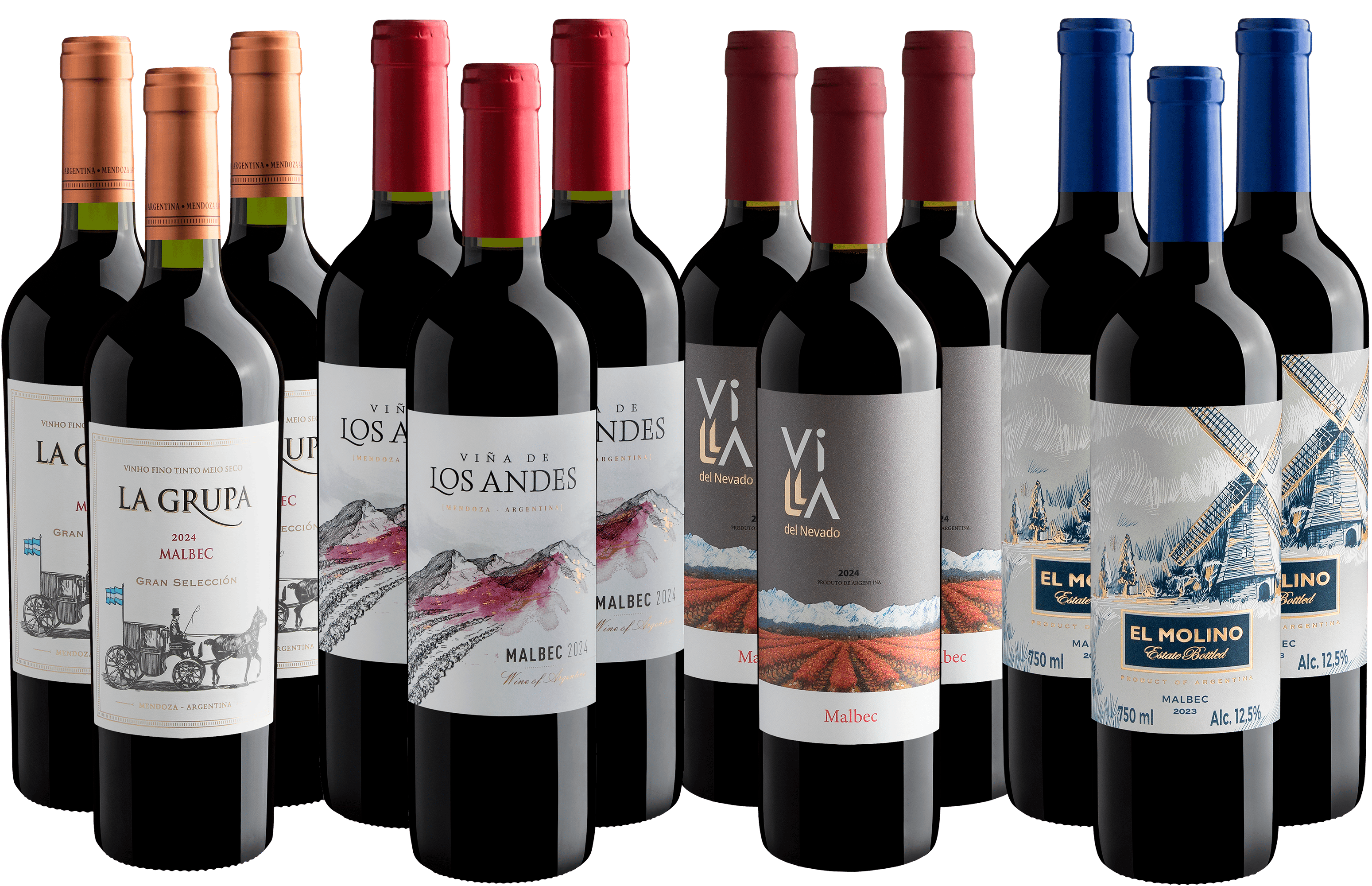 Kit Malbecs | 12 garrafas por R$26,90 cada garrafa