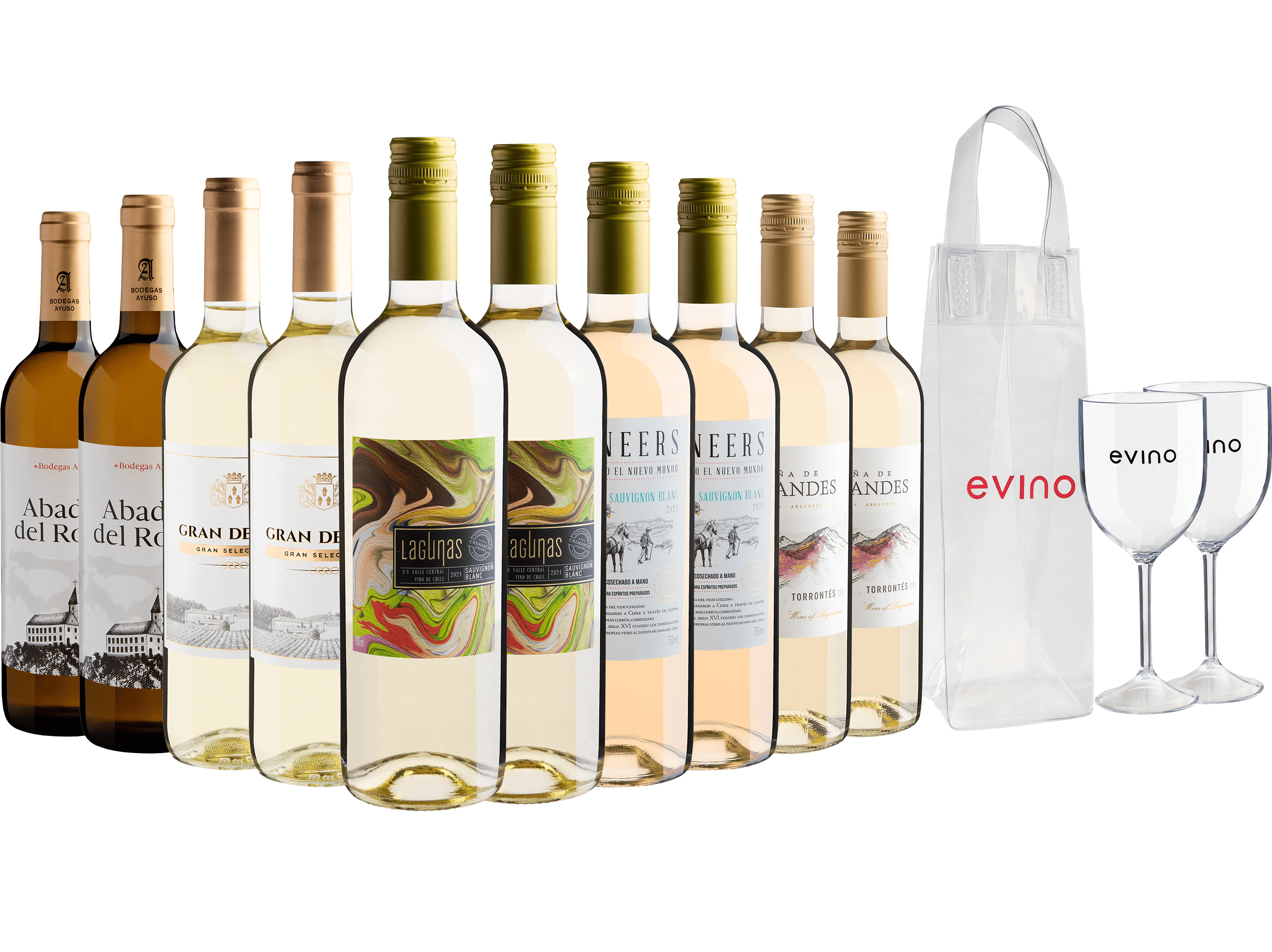 Kit 10 Vinhos Brancos por R$29,90 cada + IceBag + 2 Taças Grátis