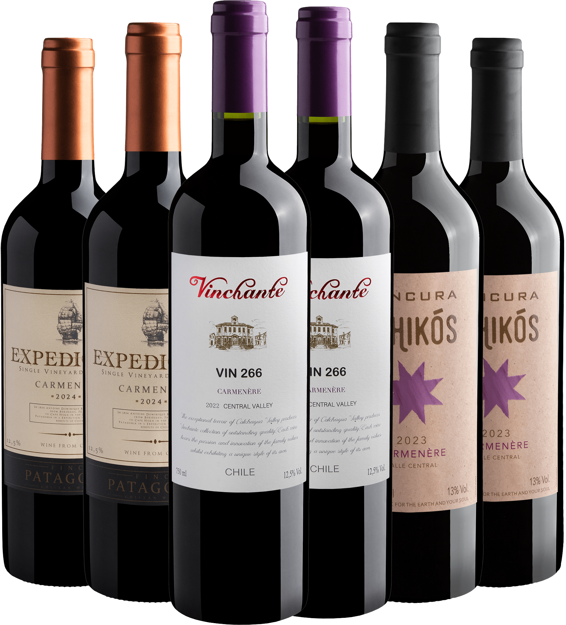 Kit 6 Carménères Chilenos por R$27,90 cada garrafa