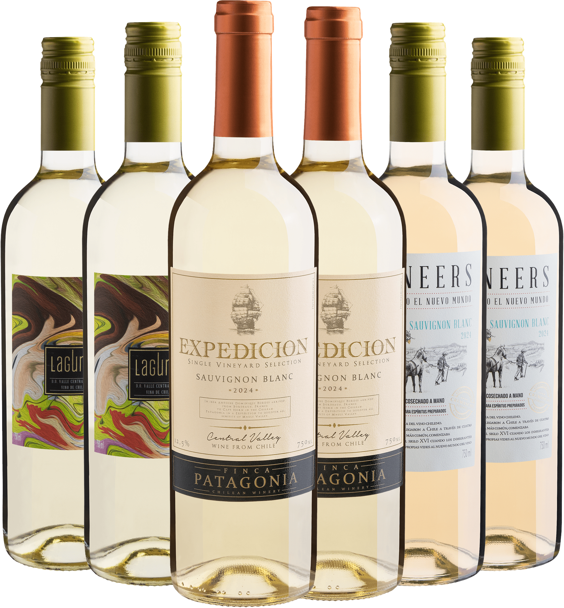 Kit Sauvignons Blancs | 6 garrafas por R$27,90 cada