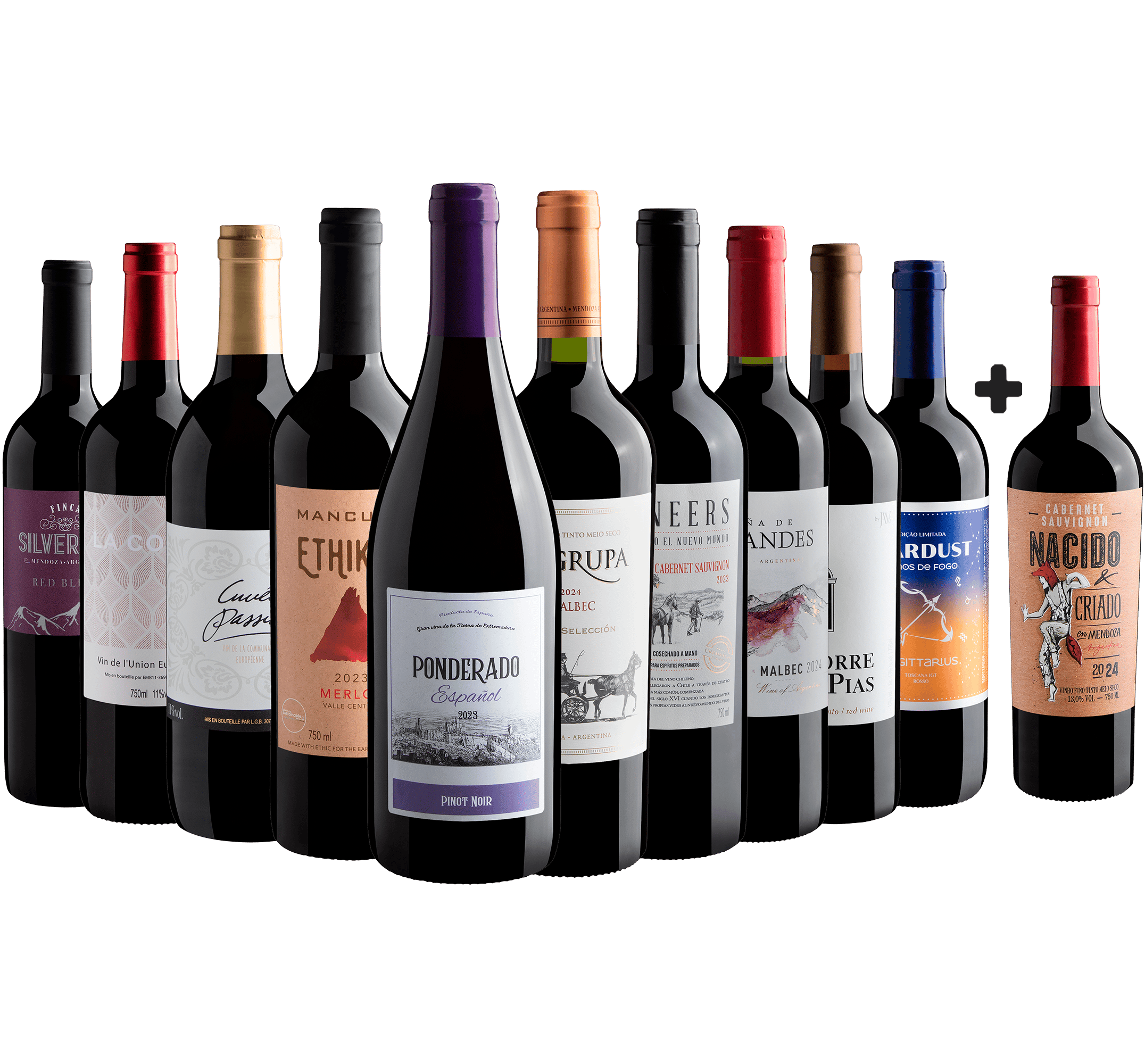 Kit 10 Tintos por R$29,90 cada garrafa + 1 Nacido y Criado en Mendoza Cabernet Sauvignon Grátis 