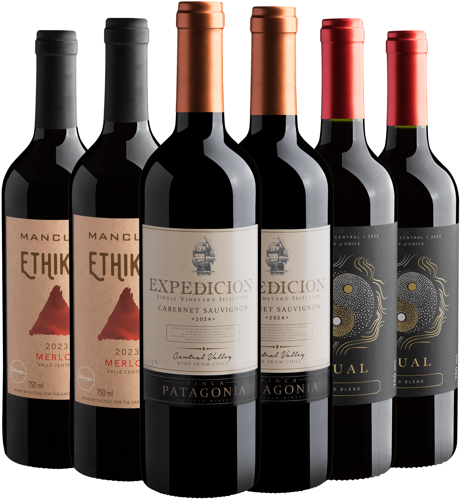 Kit Vinhos Chilenos Mais Pedidos | 6 garrafas por R$27,90 cada