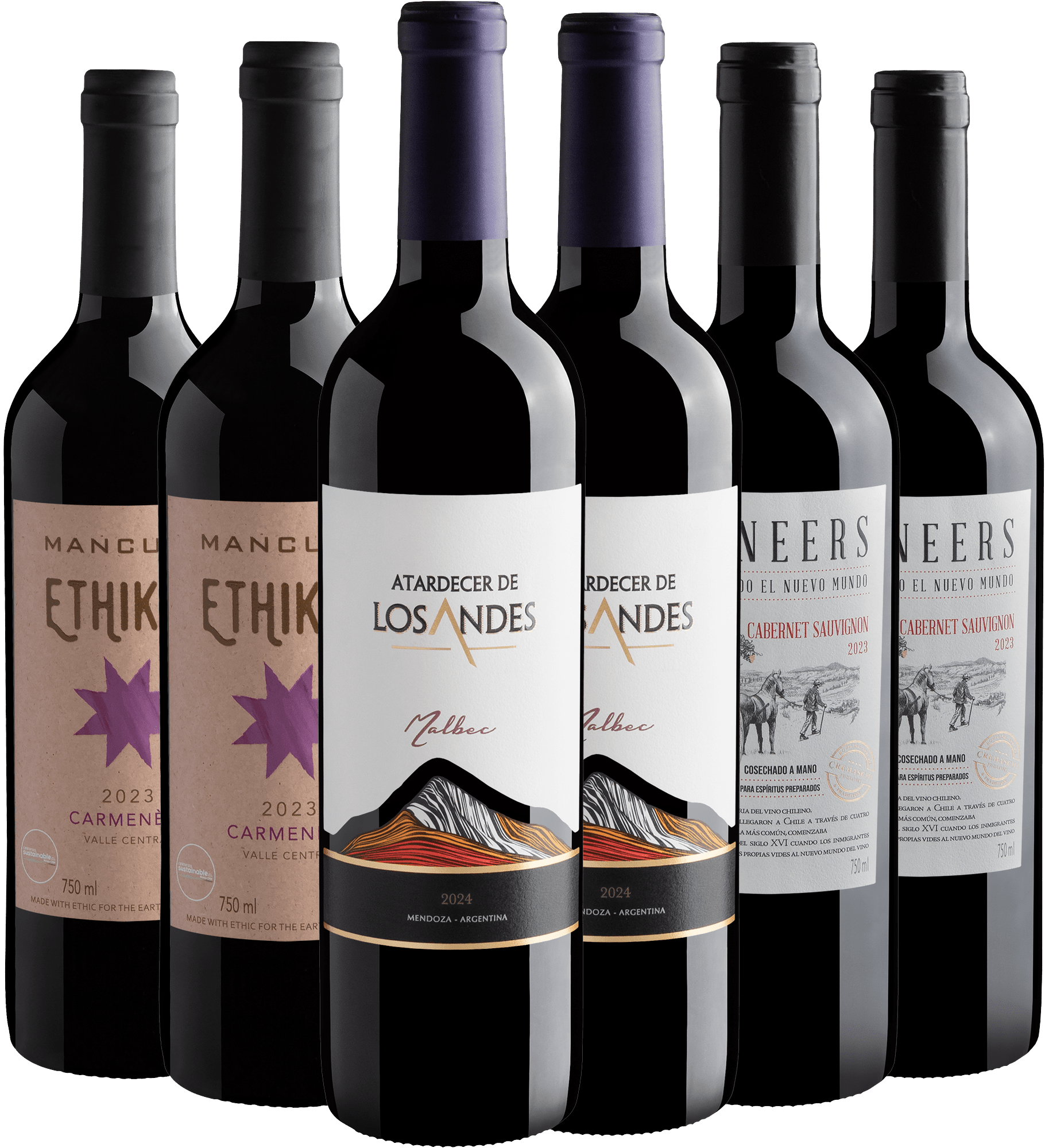 Kit Malbec, Cabernet e Carménère | 6 garrafas por R$30,90 cada + Frete Grátis*