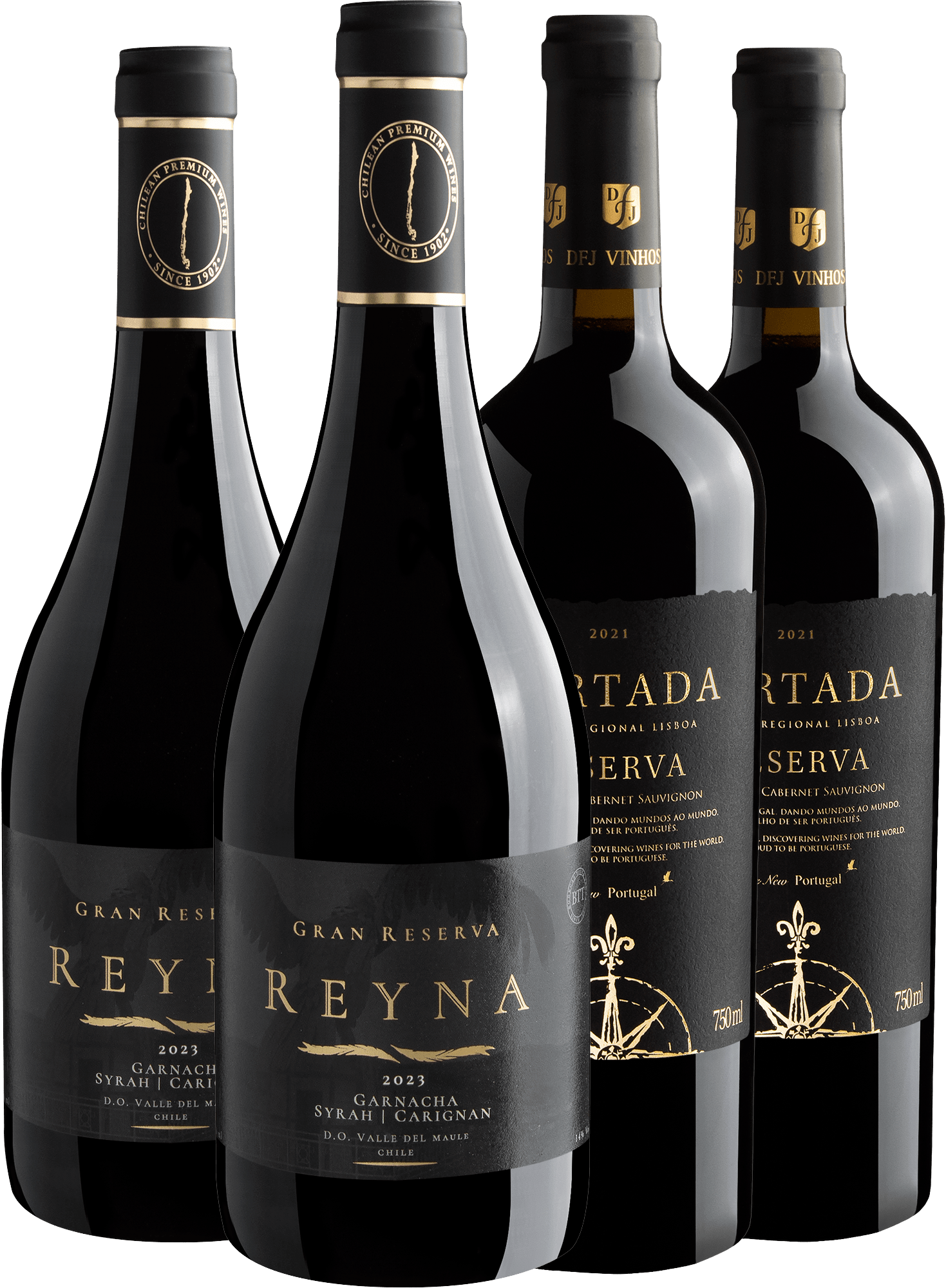 Kit 2 Reyna Gran Reserva + 2 Portada Reserva Shiraz por R$79,90 cada garrafa
