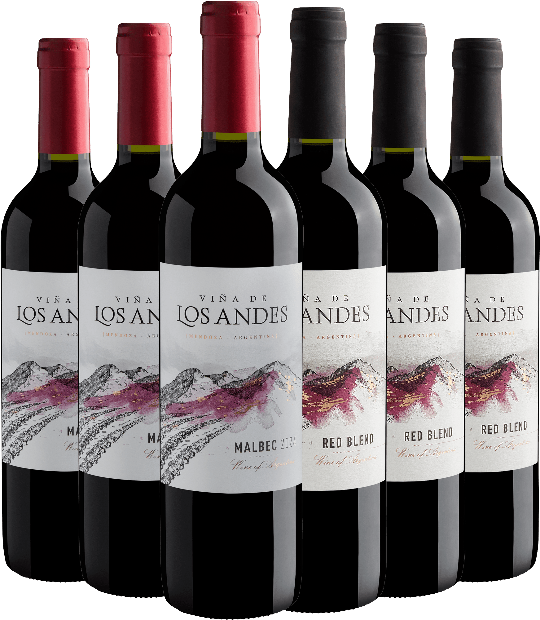 Kit Viña de Los Andes | 3 Malbec + 3 Red Blend por R$29,90 cada garrafa