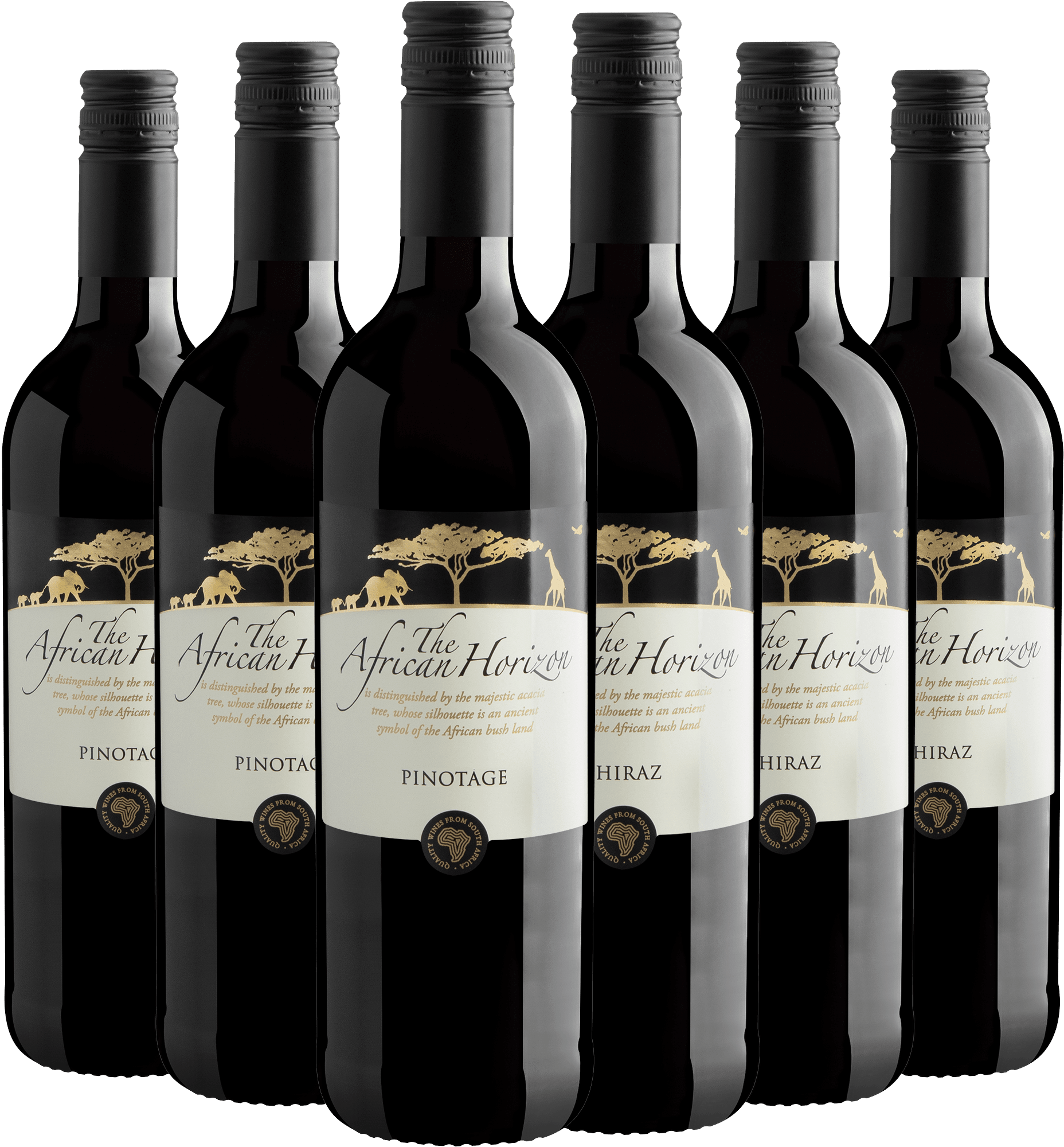 Kit The African Horizon | 3 Pinotage + 3 Shiraz por R$49,90 cada garrafa