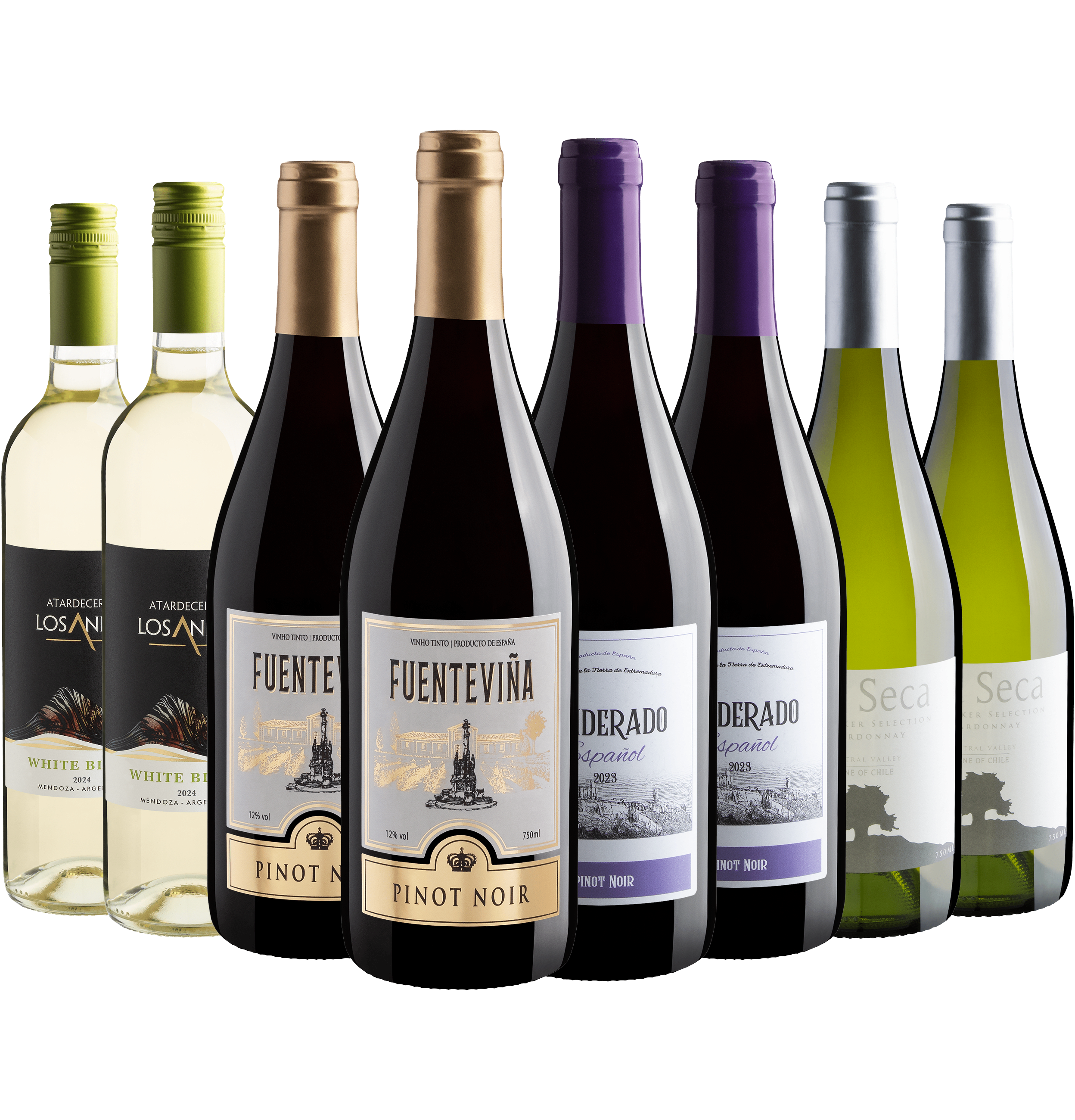 Kit Vinhos Leves | 8 garrafas por R$259,20