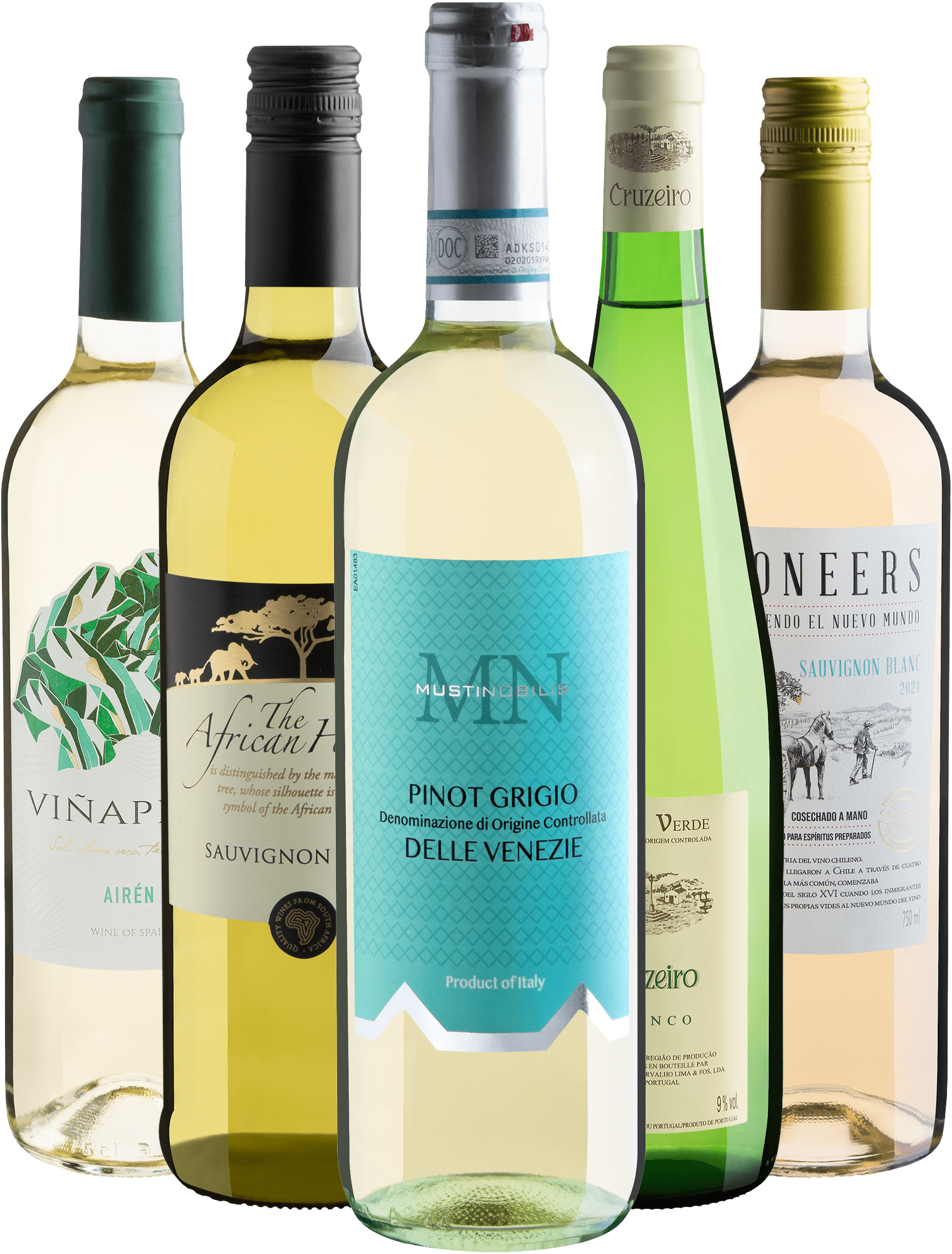 Kit 5 Vinhos Brancos 