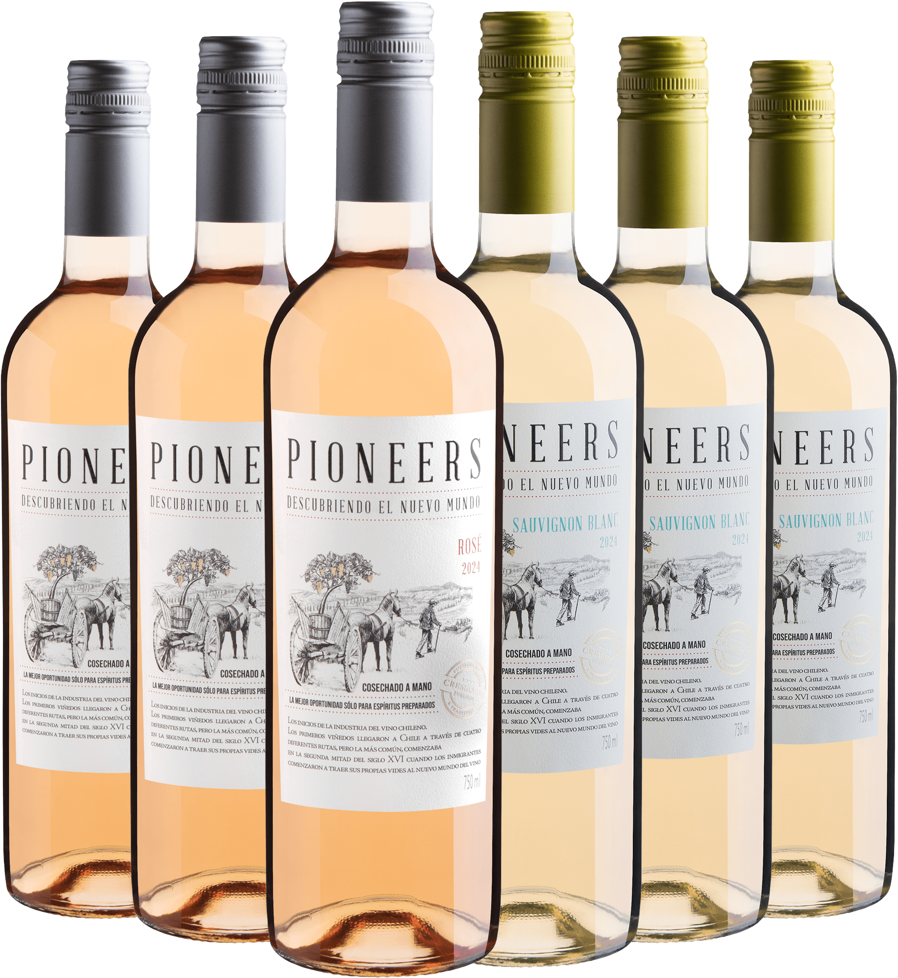 Kit Pioneers Refrescantes | 3 Branco + 3 Rosé por R$27,90 cada garrafa 