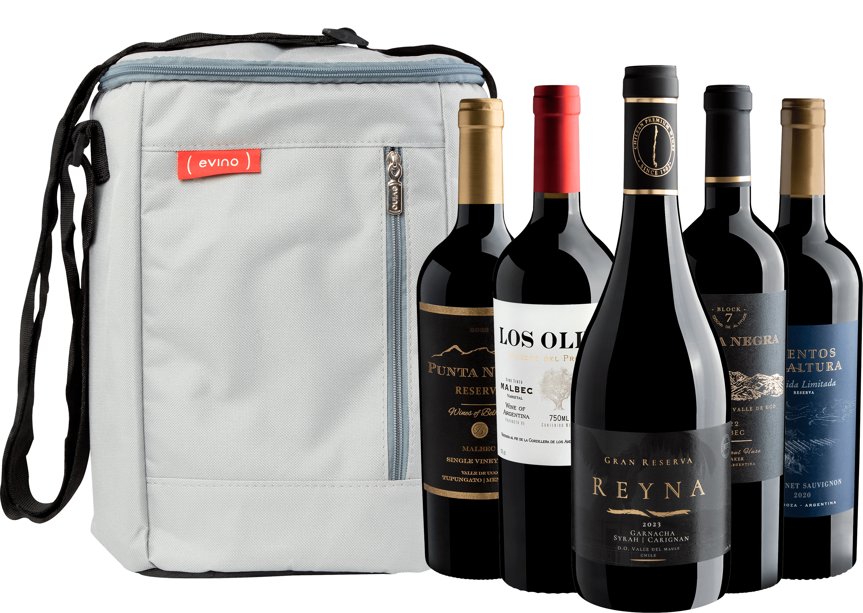Kit 5 Vinhos Notáveis do Novo Mundo por R$88,90 cada garrafa + Bolsa Exclusiva Grátis