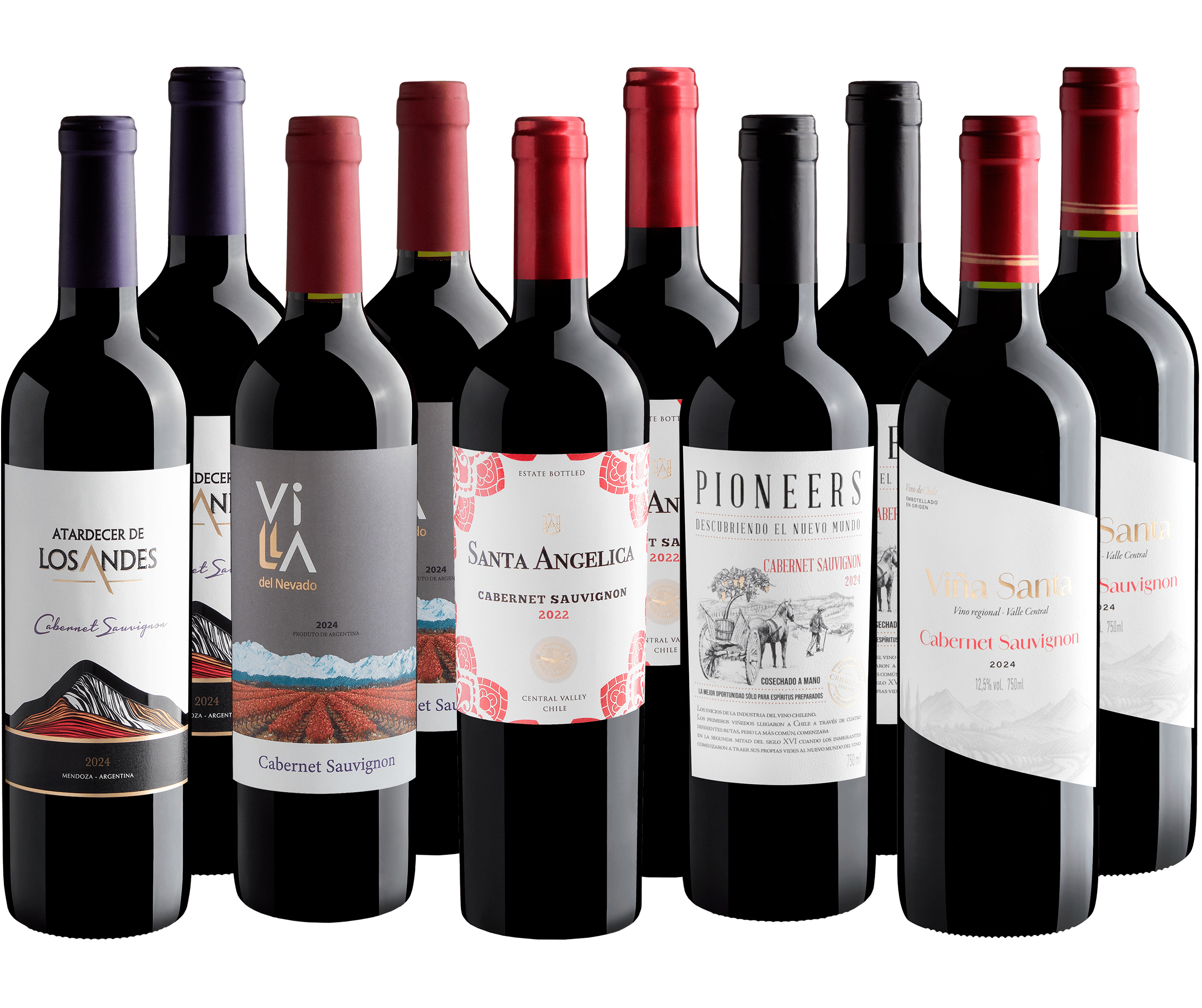Kit Cabernets Sauvignons | 10 garrafas por R$27,90 cada