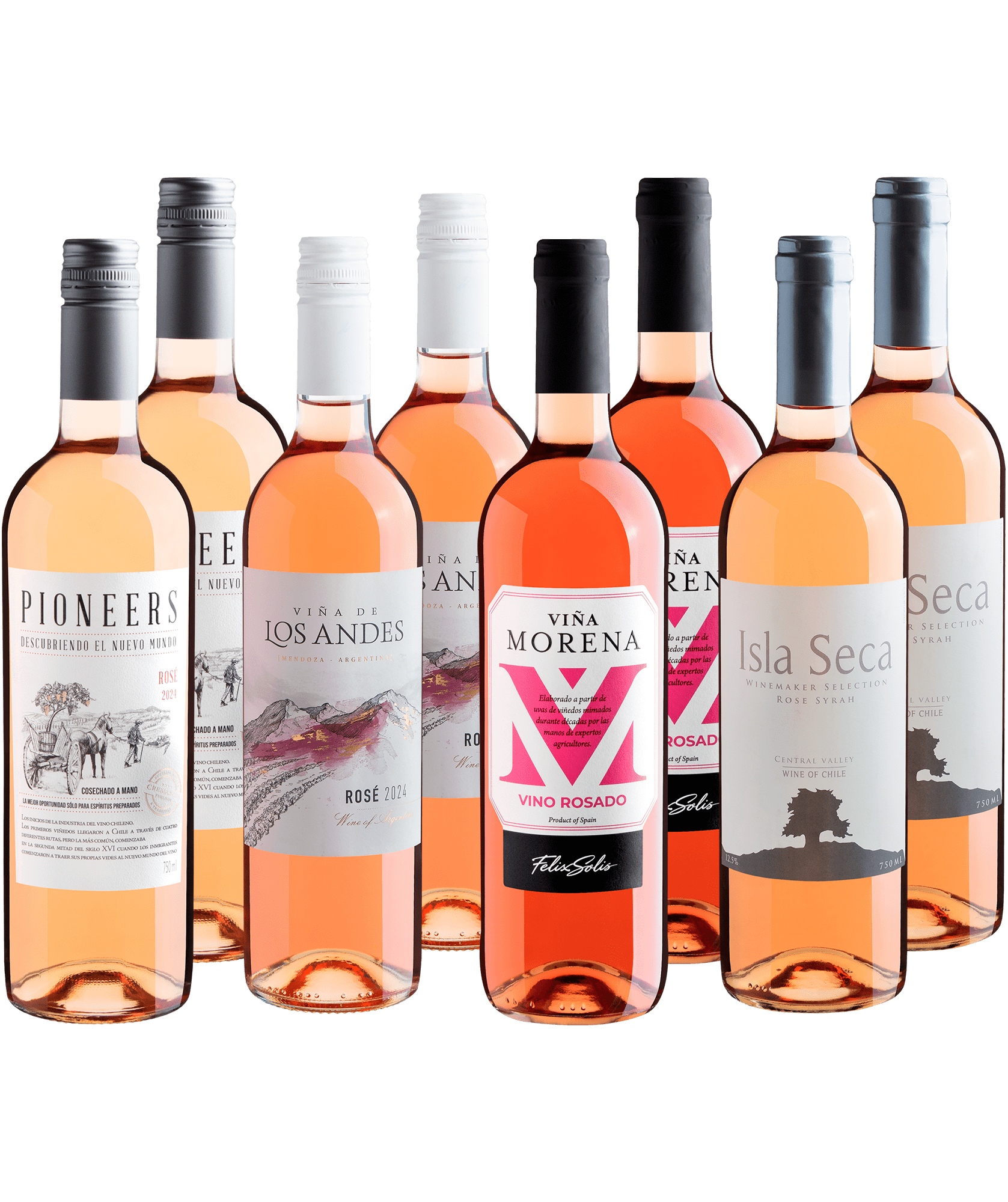 Kit Rosés em Dobro | 8 garrafas por R$27,90 cada 