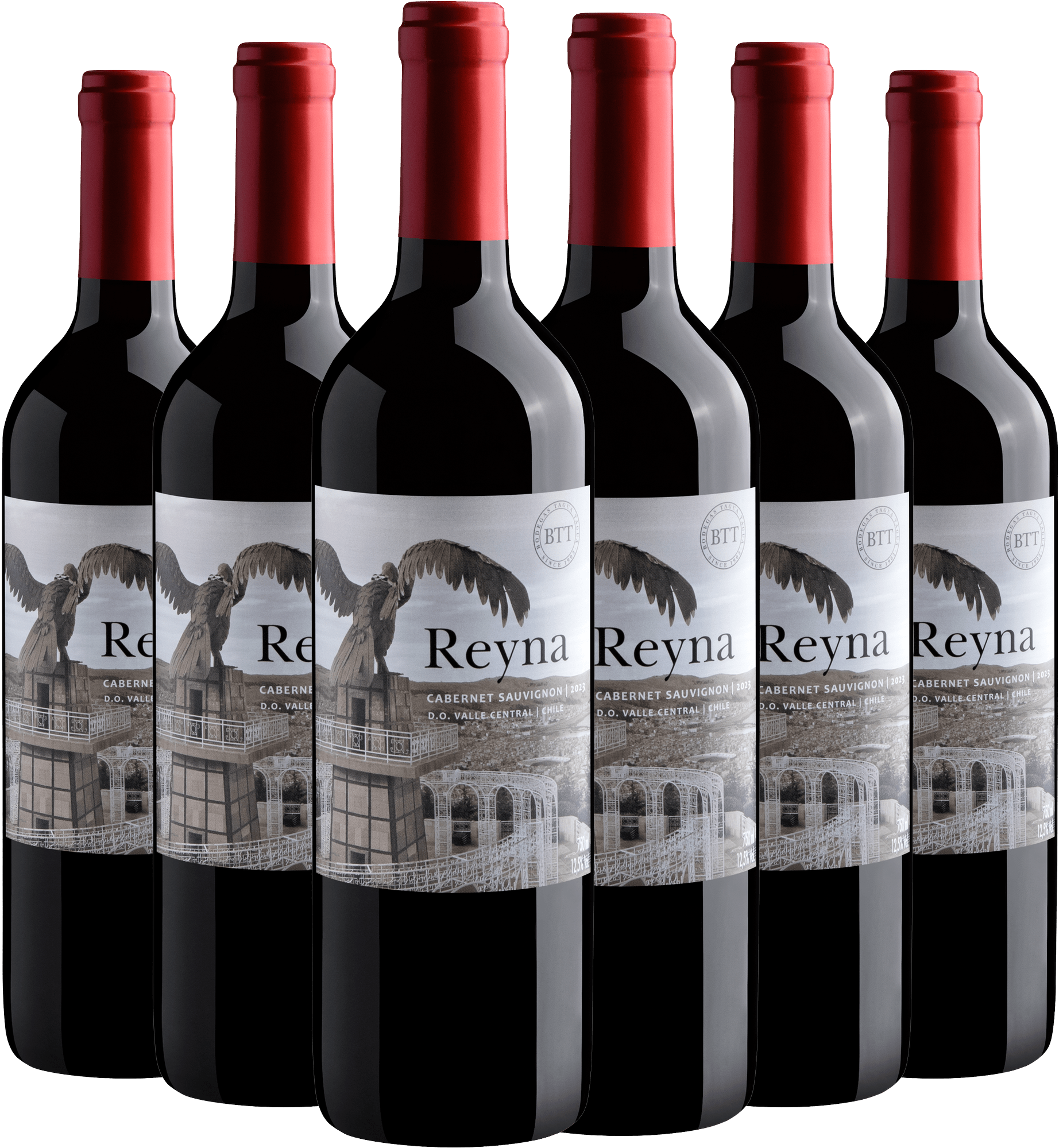 Kit 6 Reyna Cabernet Sauvignon Central Valley D.O. + Frete Grátis*
