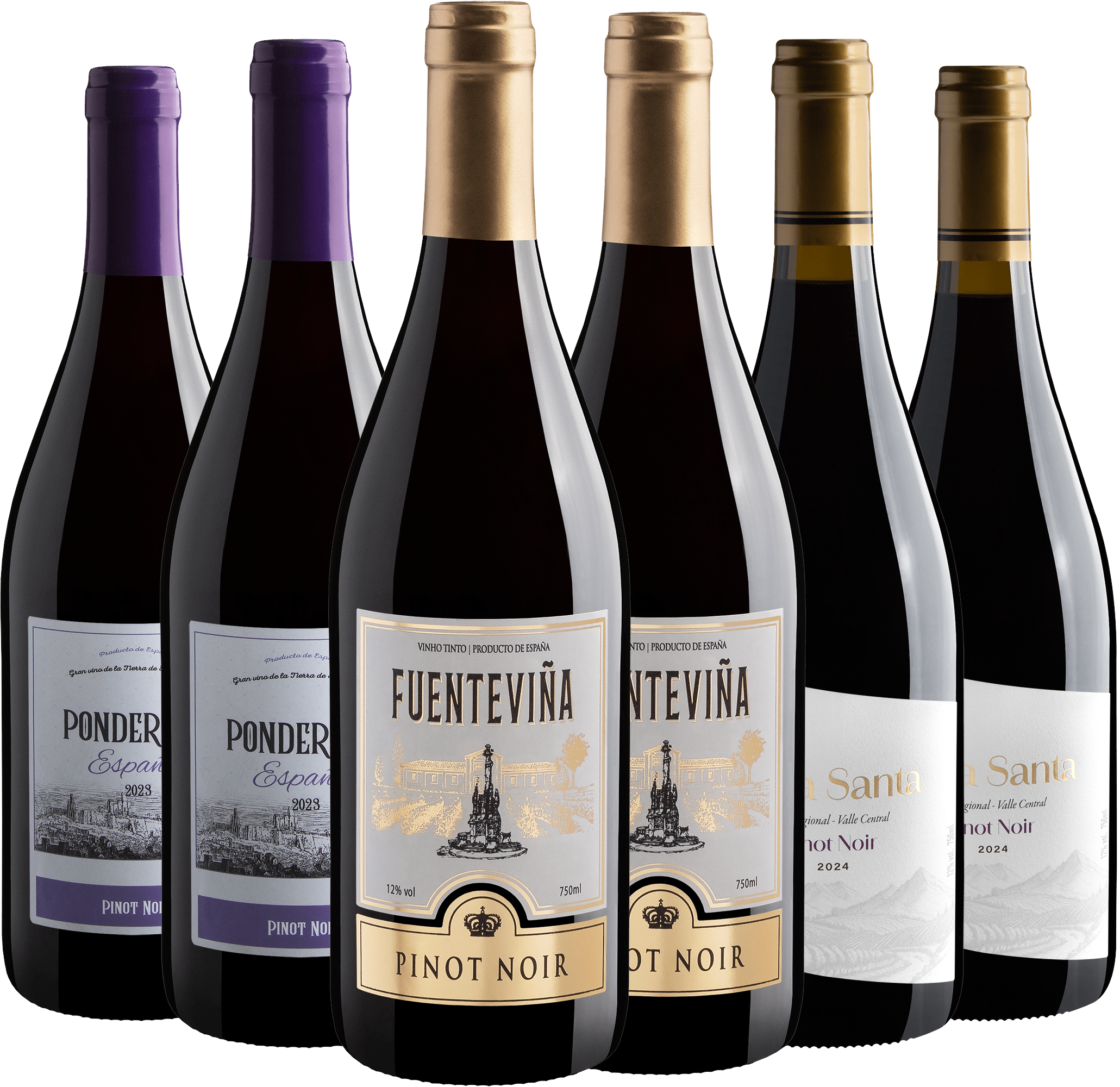 Kit Pinots Noirs | 2 Fuenteviña + 2 Ponderado + 2 Viña Santa por R$28,90 cada garrafa