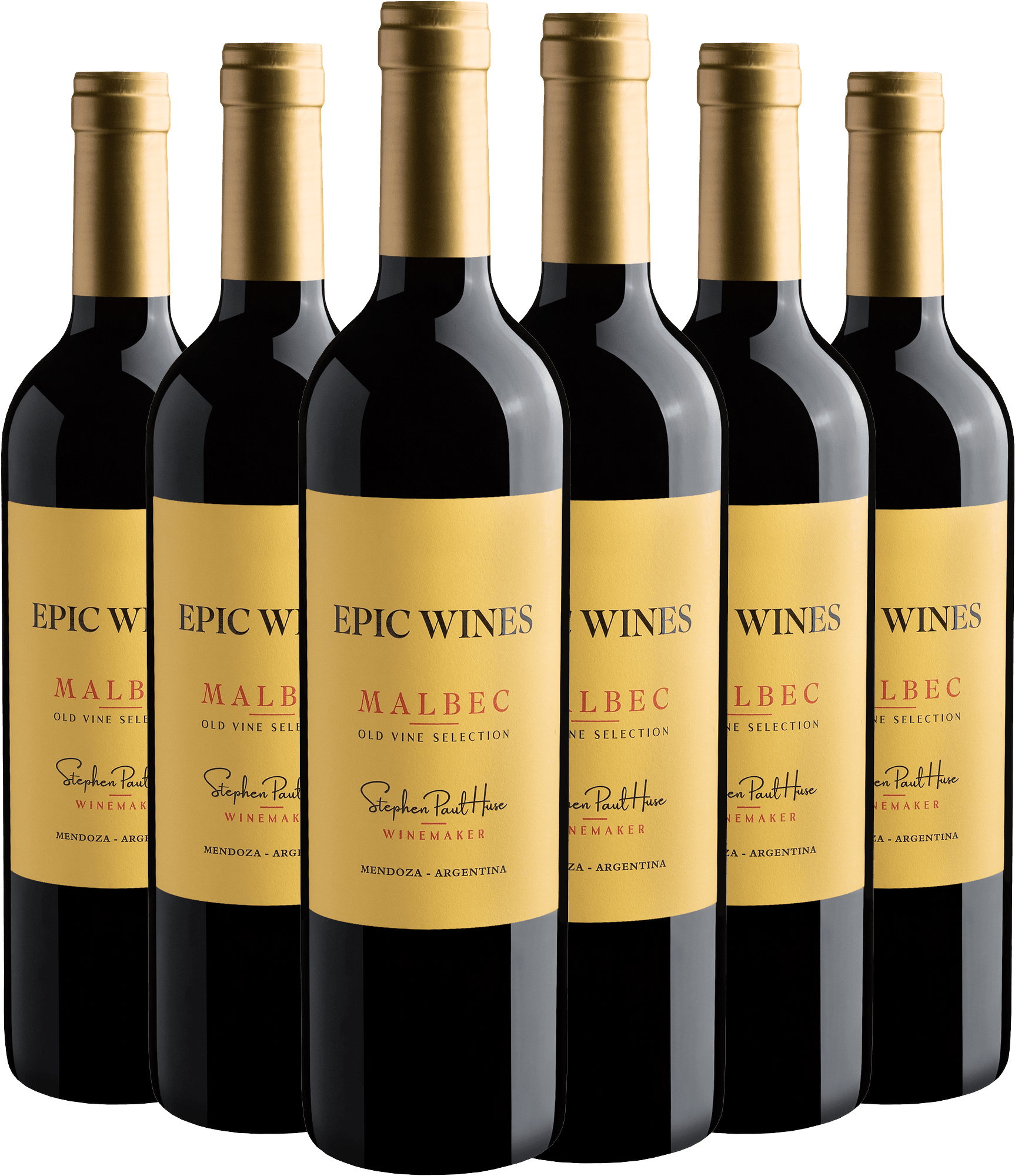 Kit 6 Epic Wines Malbec Old Vine Selection