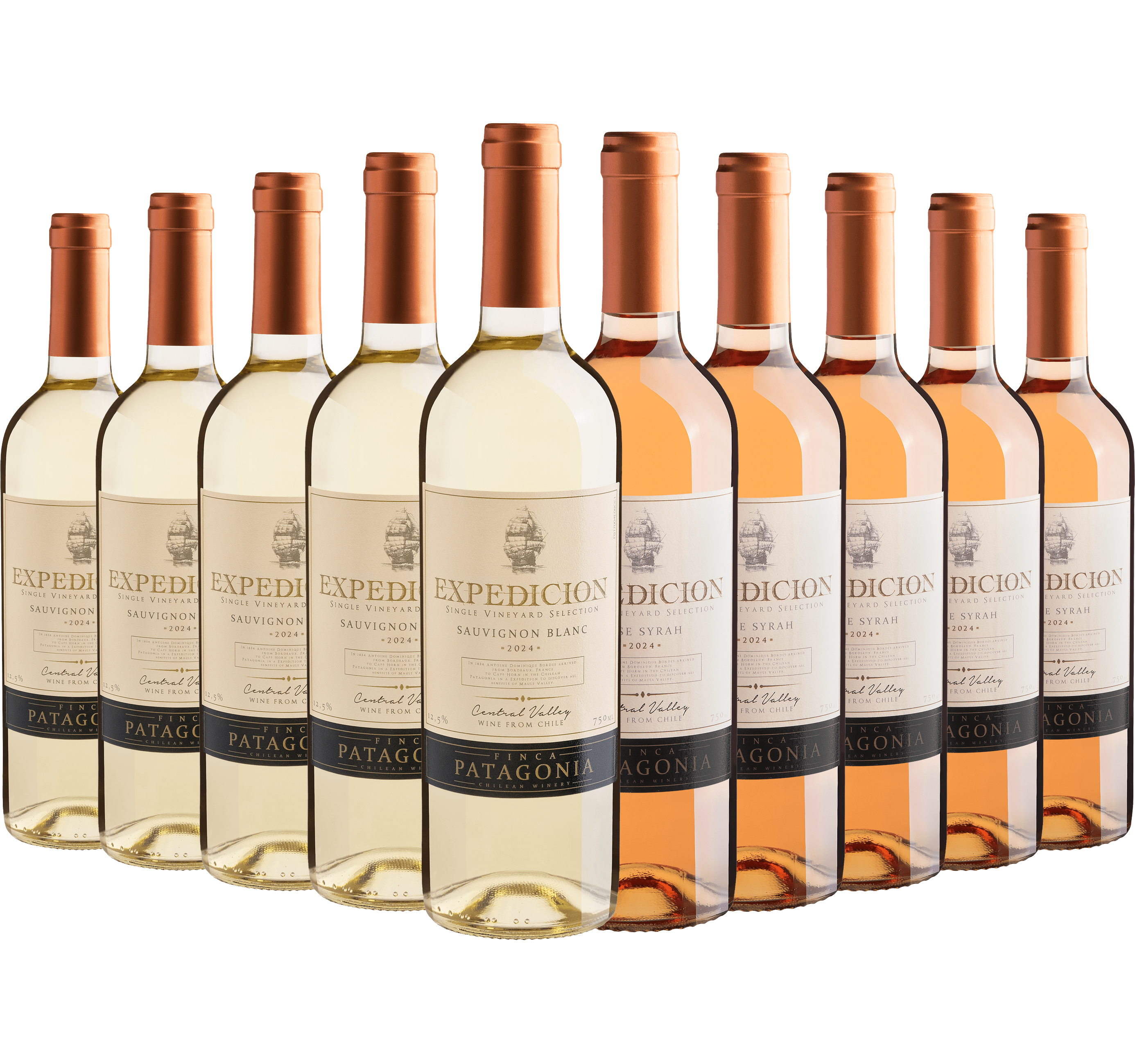 Kit Expedicion | 5 Sauvignon Blanc + 5 Syrah Rosé