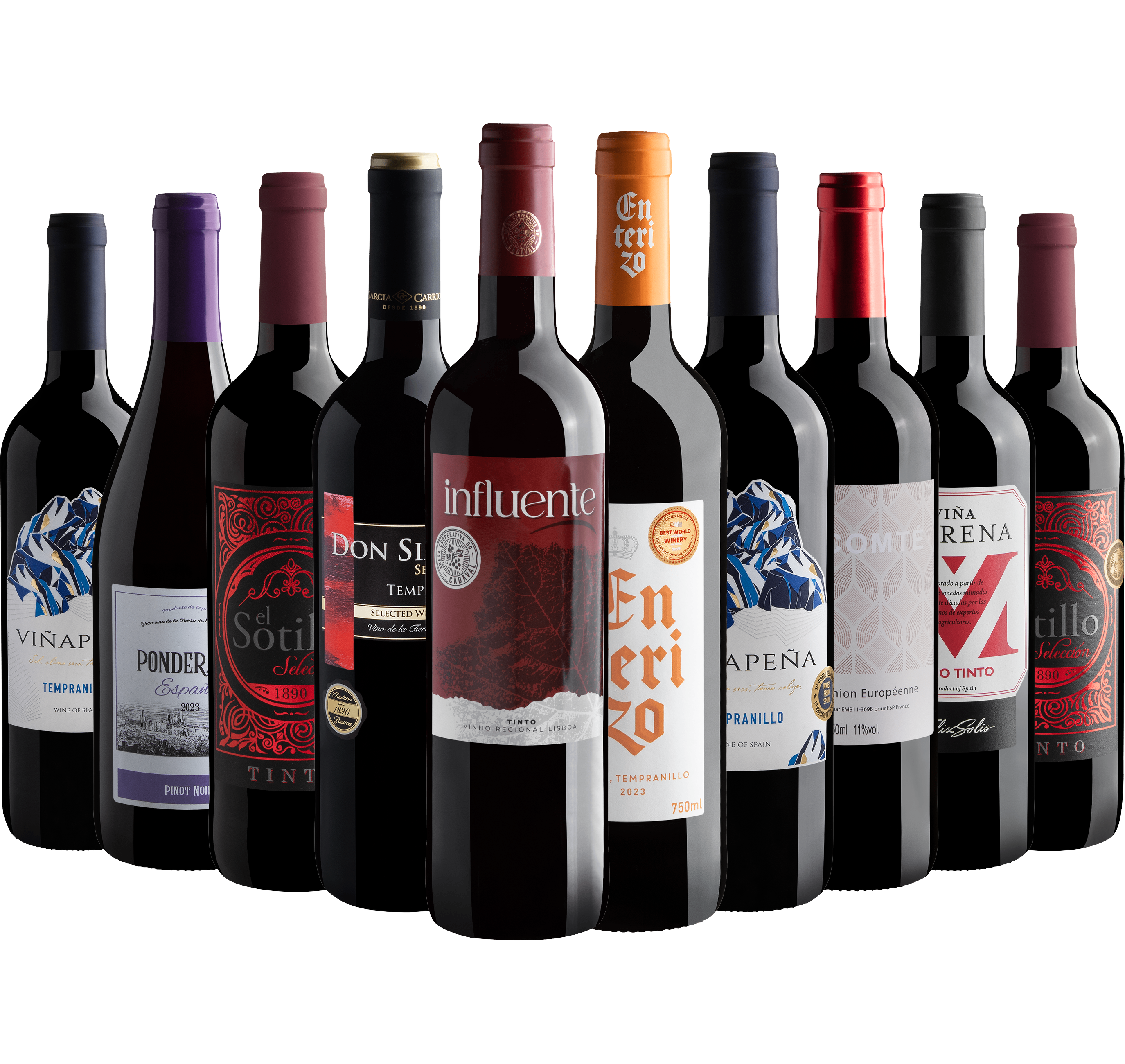 Kit 10 Vinhos Tintos do Velho Mundo
