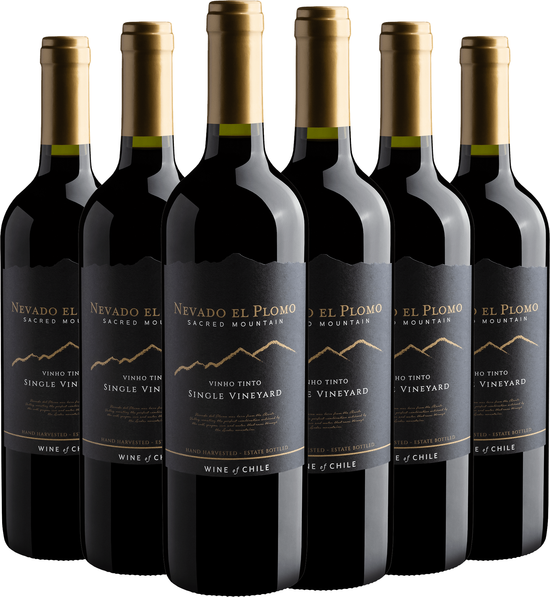 Kit 6 Nevado El Plomo Sacred Mountain Single Vineyard