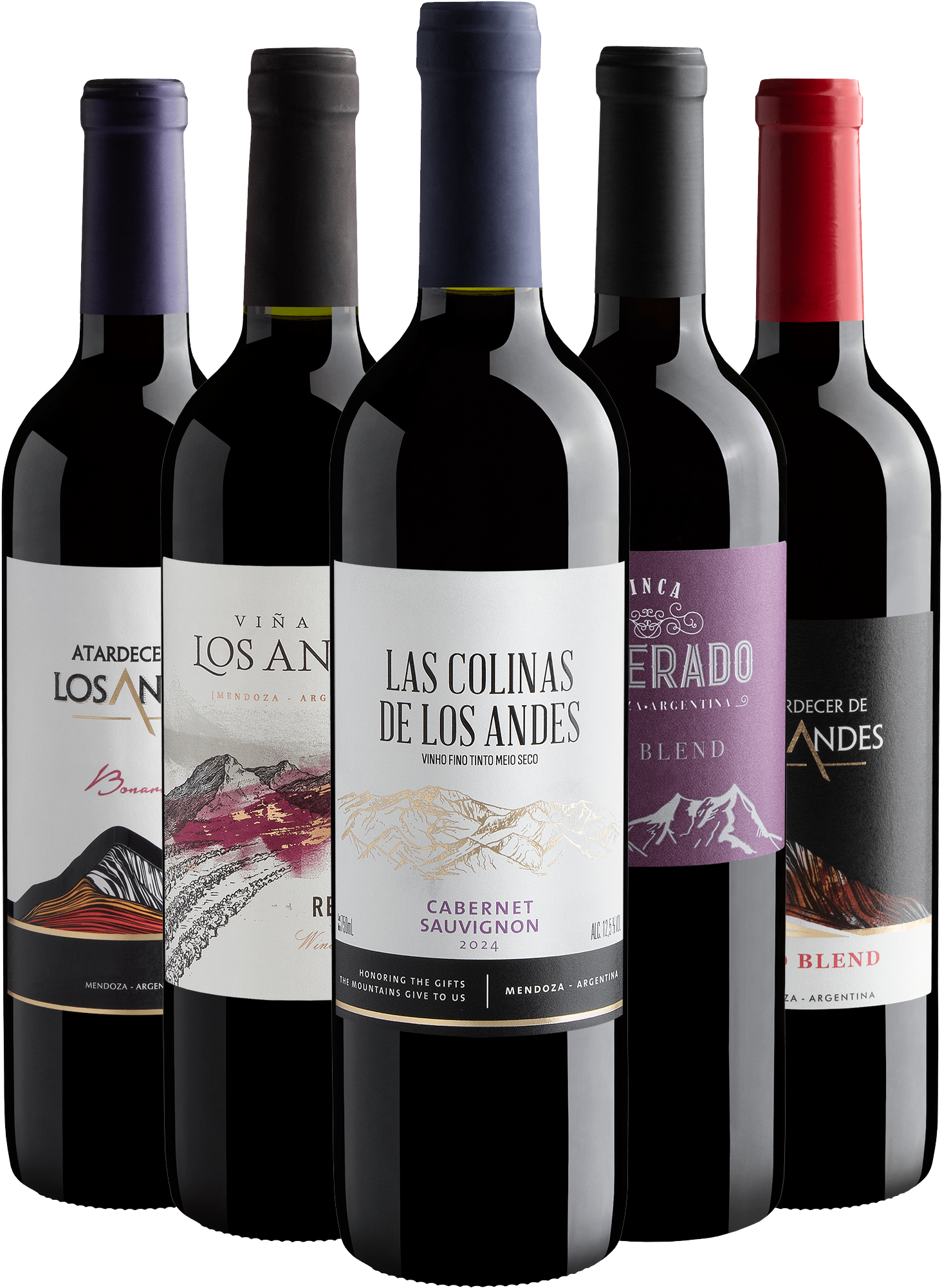 Kit 5 Argentinos