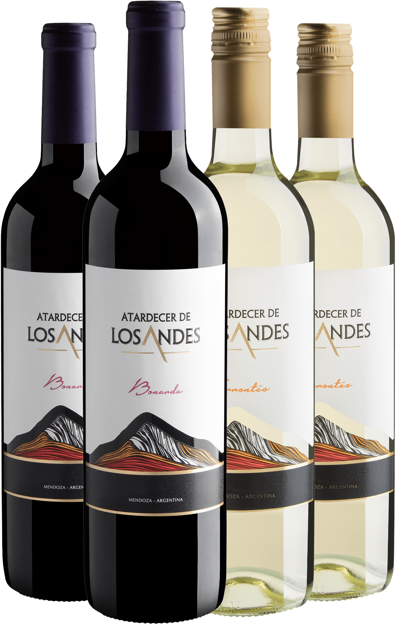Kit Atardecer de Los Andes | 2 Bonarda + 2 Torrontés