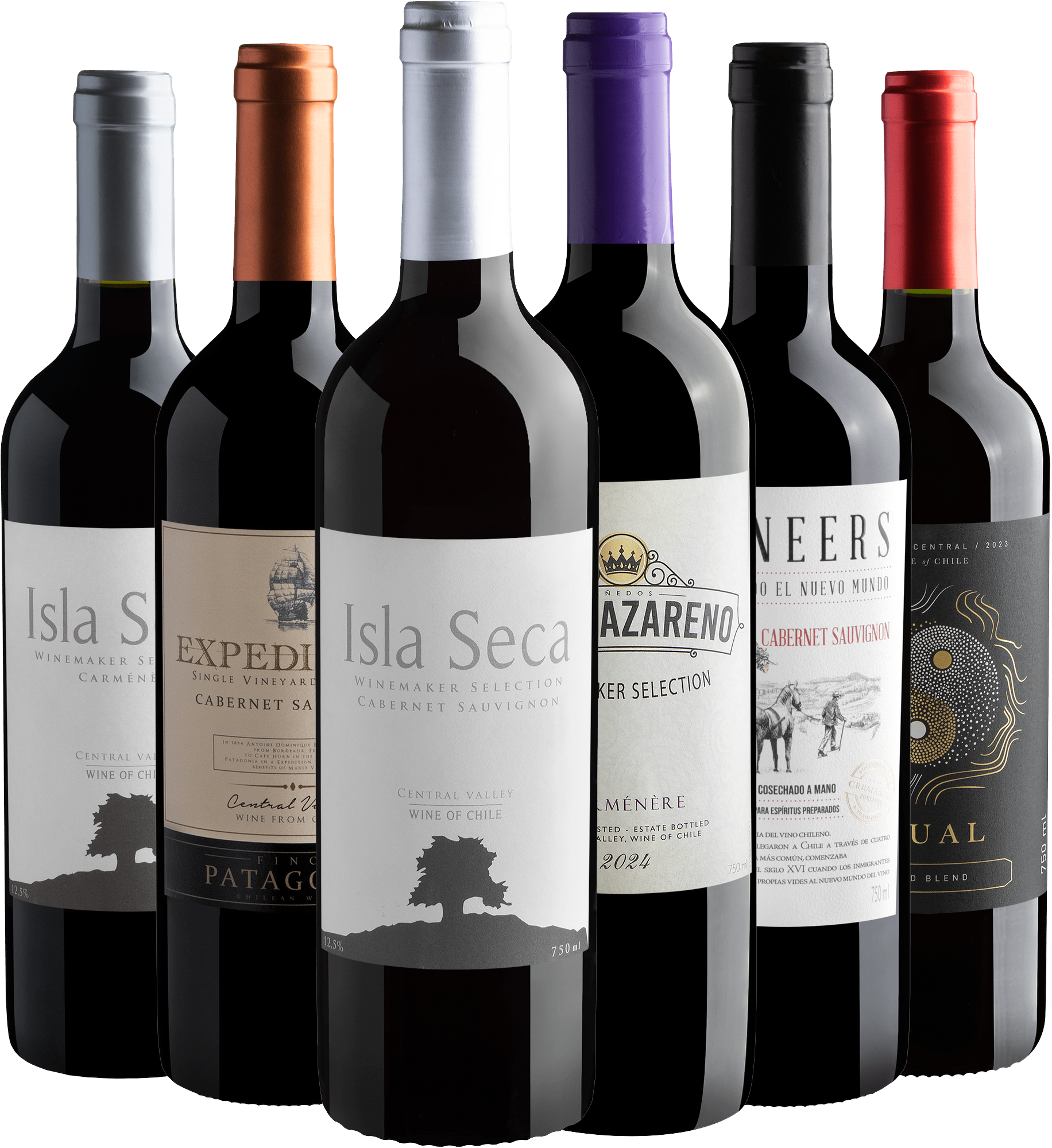 Kit Vinhos Chilenos Best Sellers | 6 garrafas por R$26,90 cada
