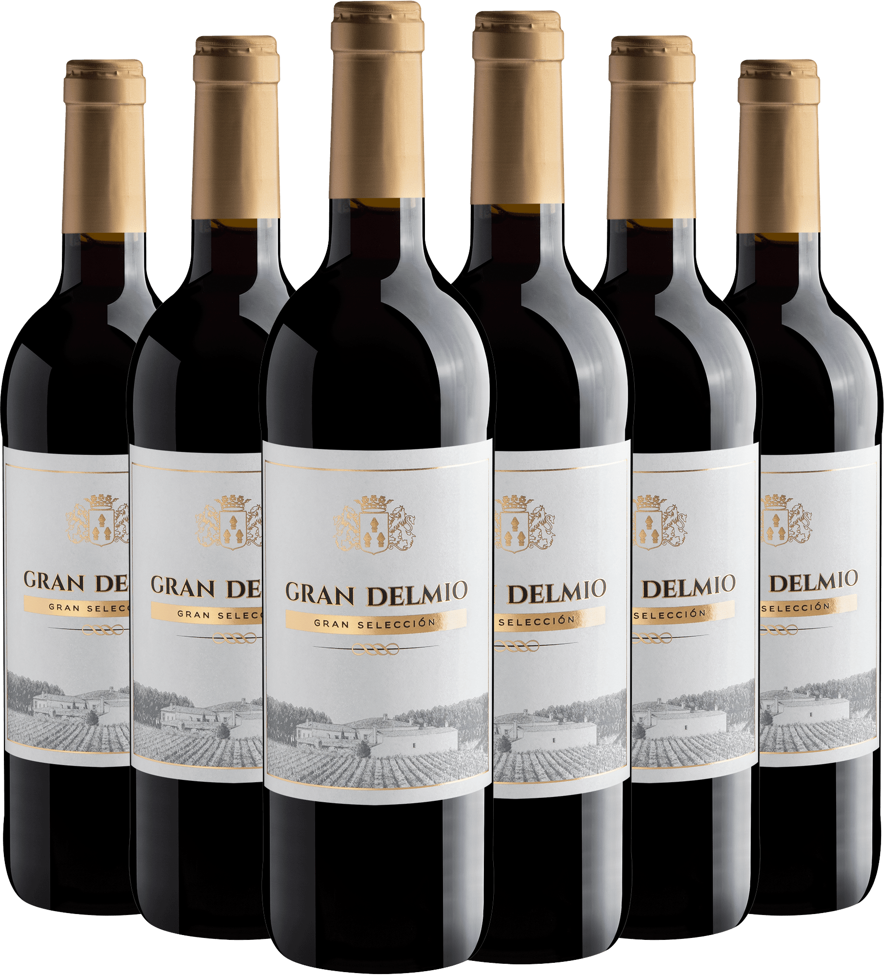 Kit 6 Gran Delmio Gran Selección Tinto