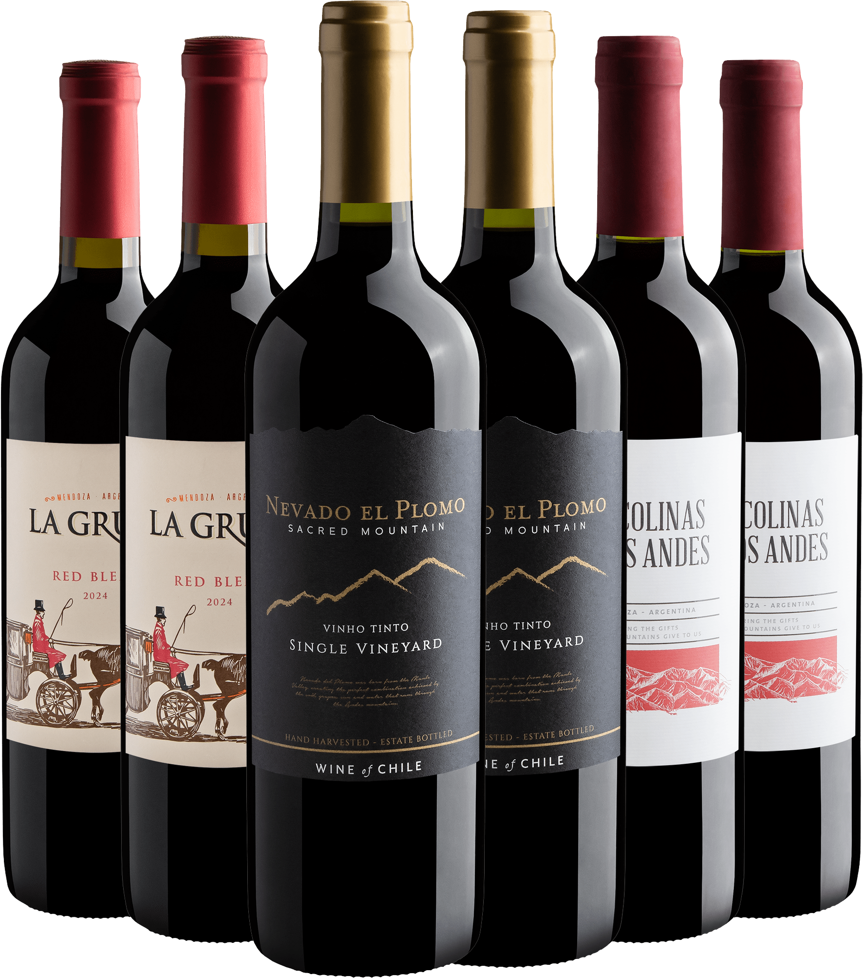 Kit 6 Vinhos do Novo Mundo por R$22,90 cada garrafa*