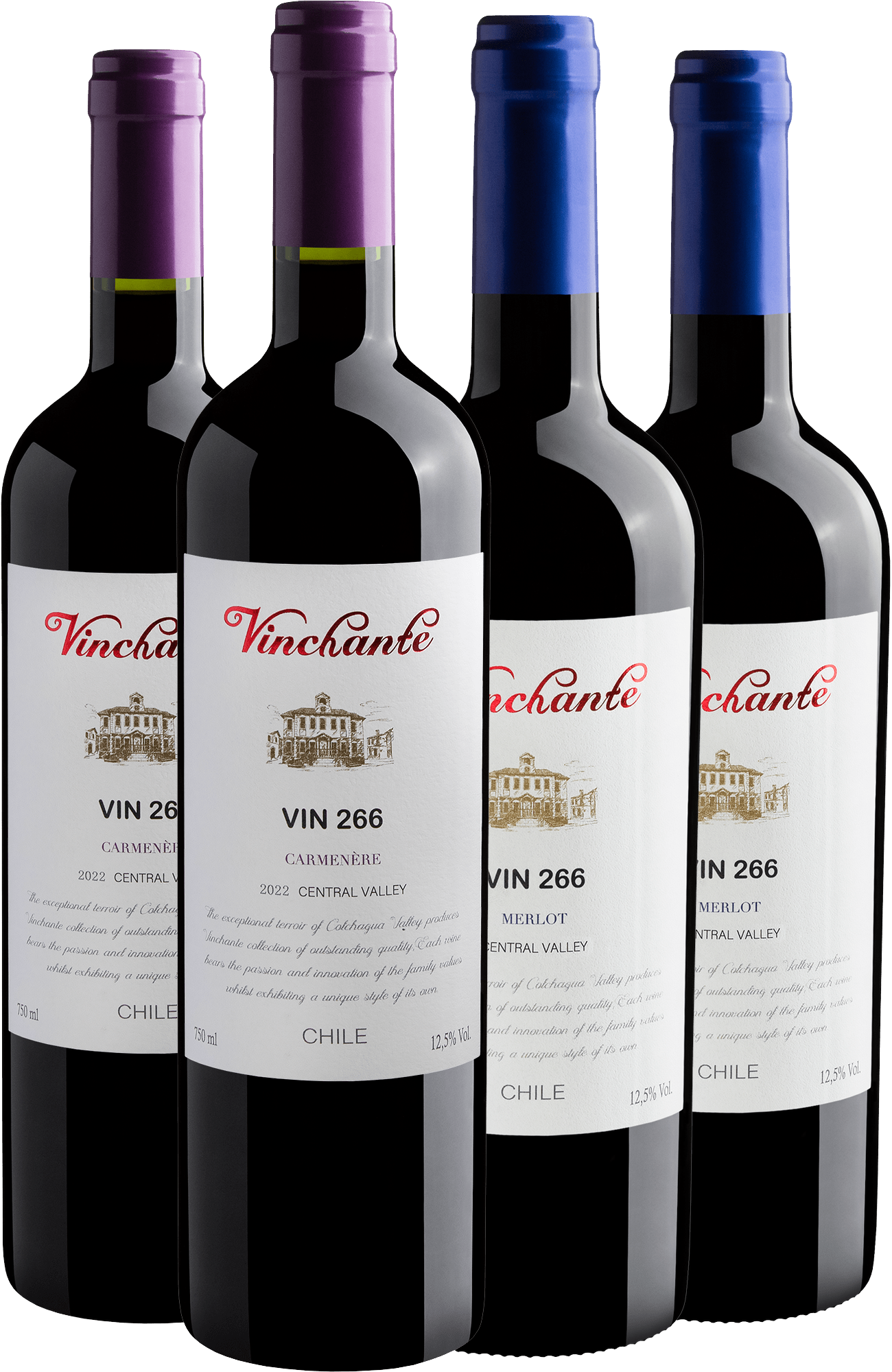 Kit Vinchante Vin 266: 2 Carménère + 2 Merlot