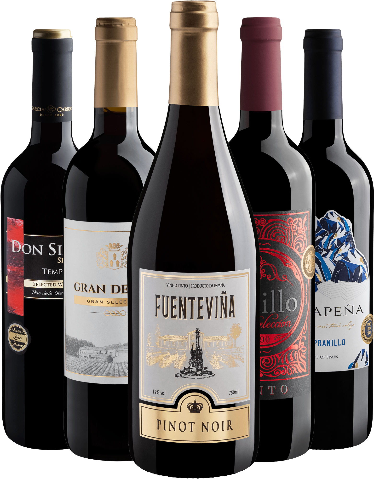 Kit 5 Vinhos Tintos Espanhóis por R$29,90 cada garrafa + Frete Grátis*