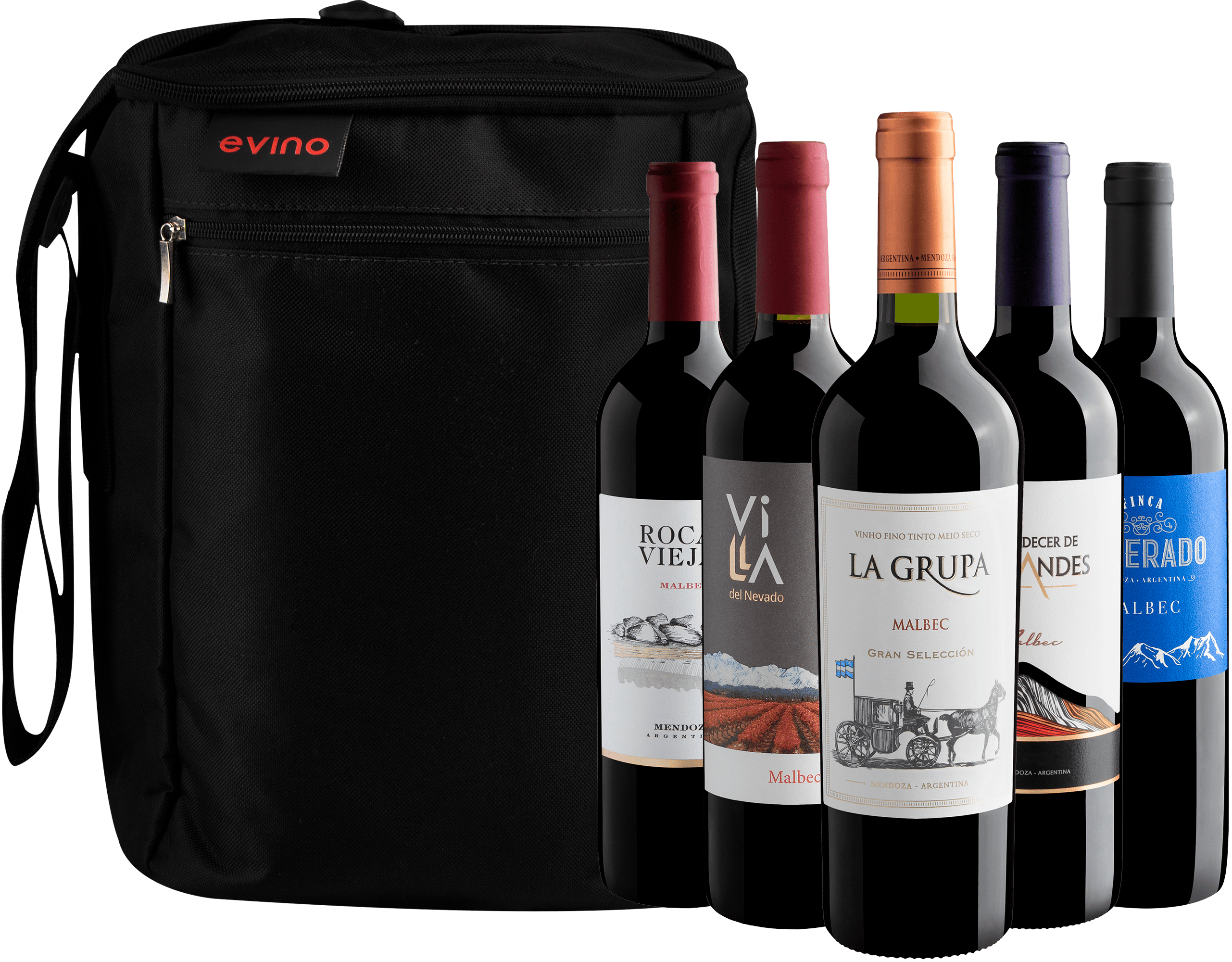 Kit 5 Malbecs + Bolsa Exclusiva