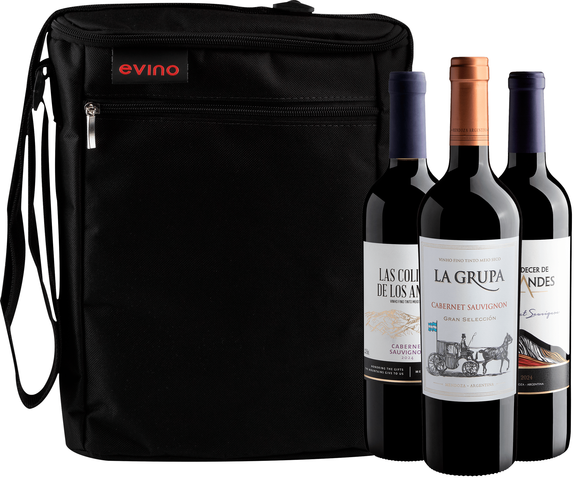 Kit 3 Cabernets Sauvignons + Bolsa Exclusiva