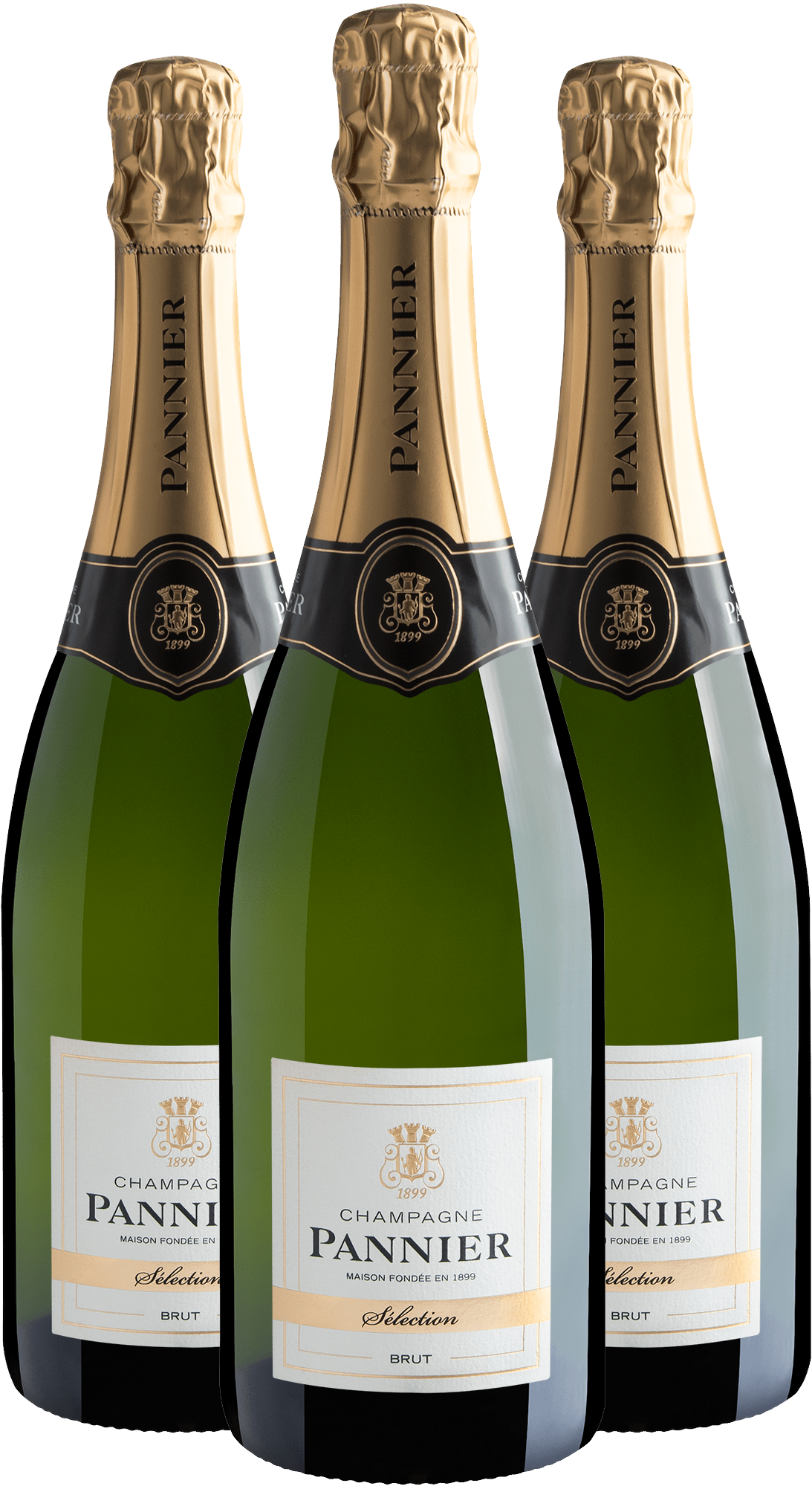 Kit 3 Champagne Pannier Sélection Brut 