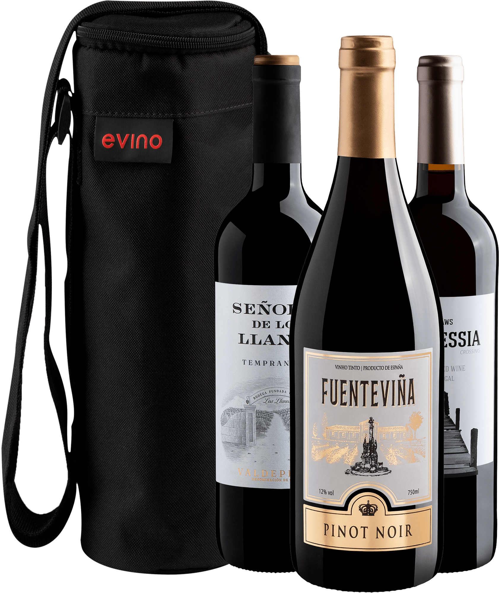 Kit 3 Vinhos do Velho Mundo + Bolsa Exclusiva