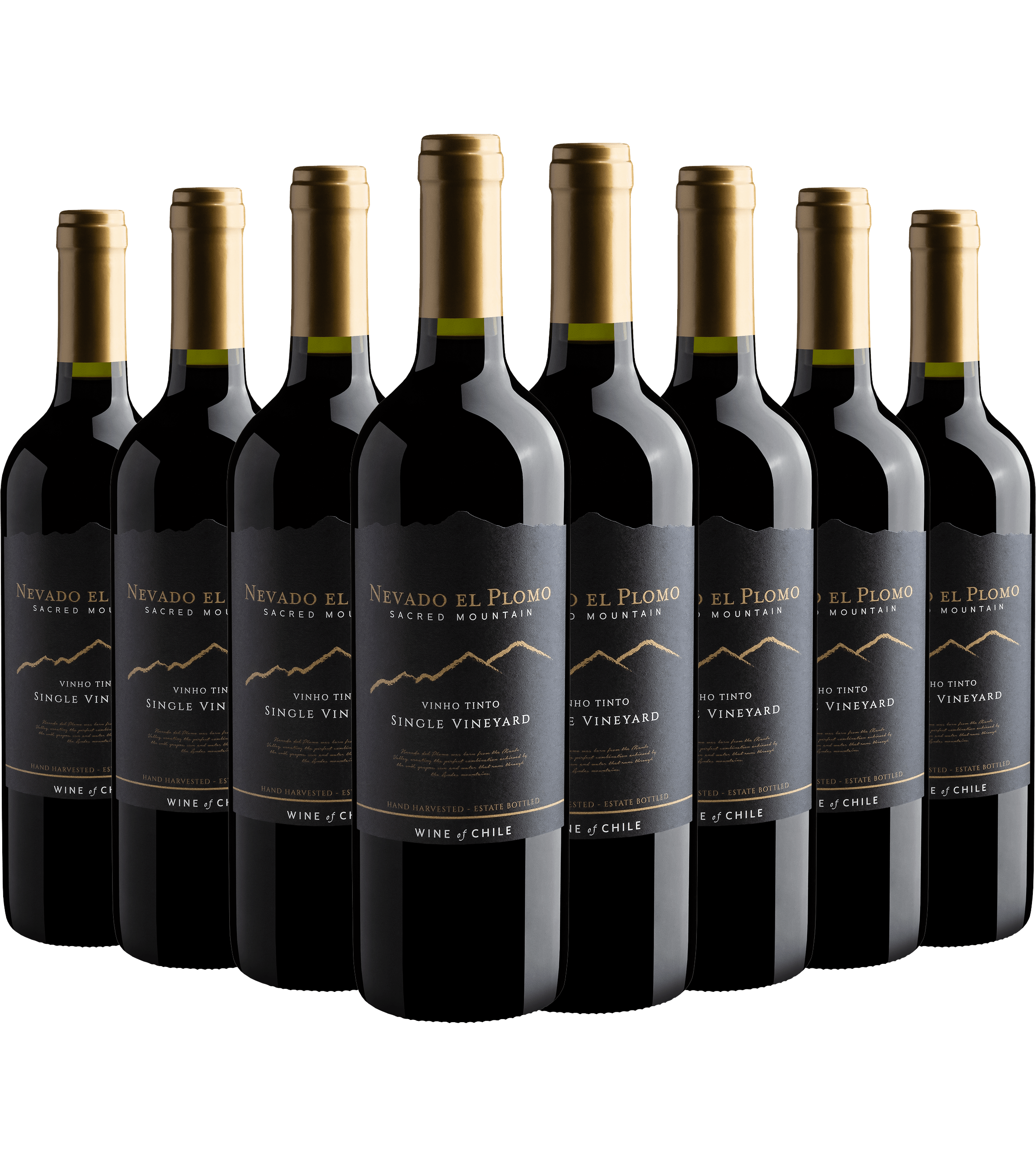 Kit 8 Nevado El Plomo Sacred Mountain Single Vineyard