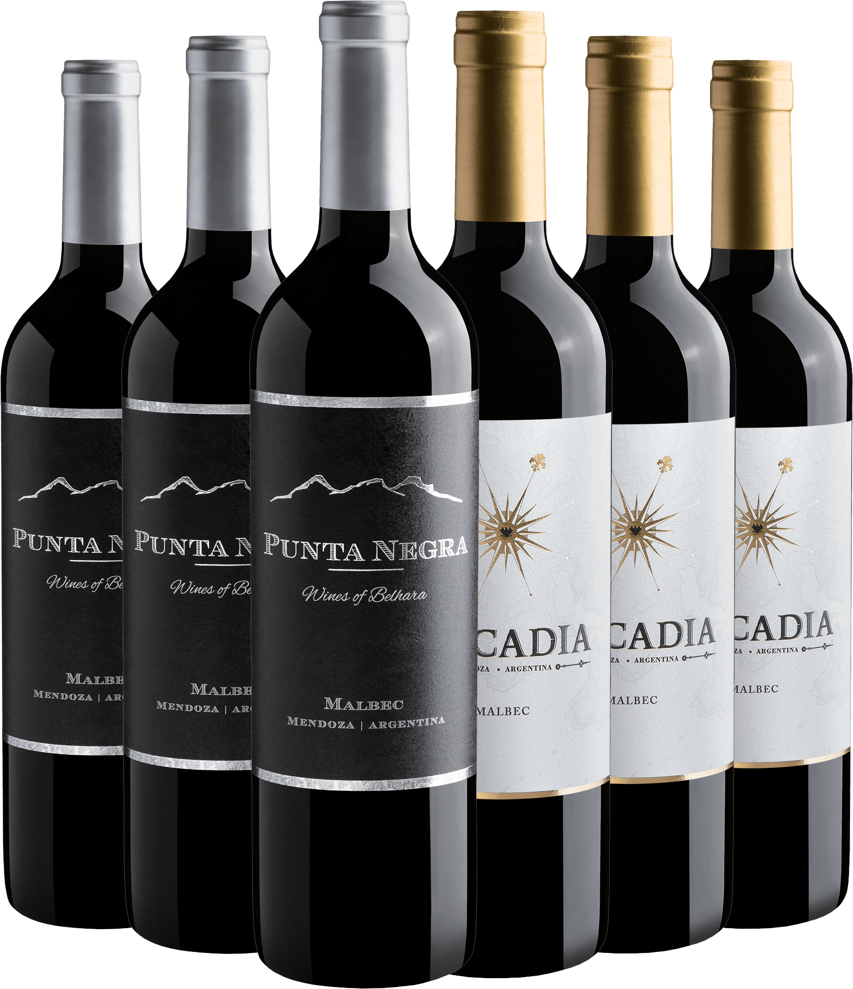 Kit Malbecs Argentinos | 3 Punta Negra Wines of Belhara + 3 Arcadia