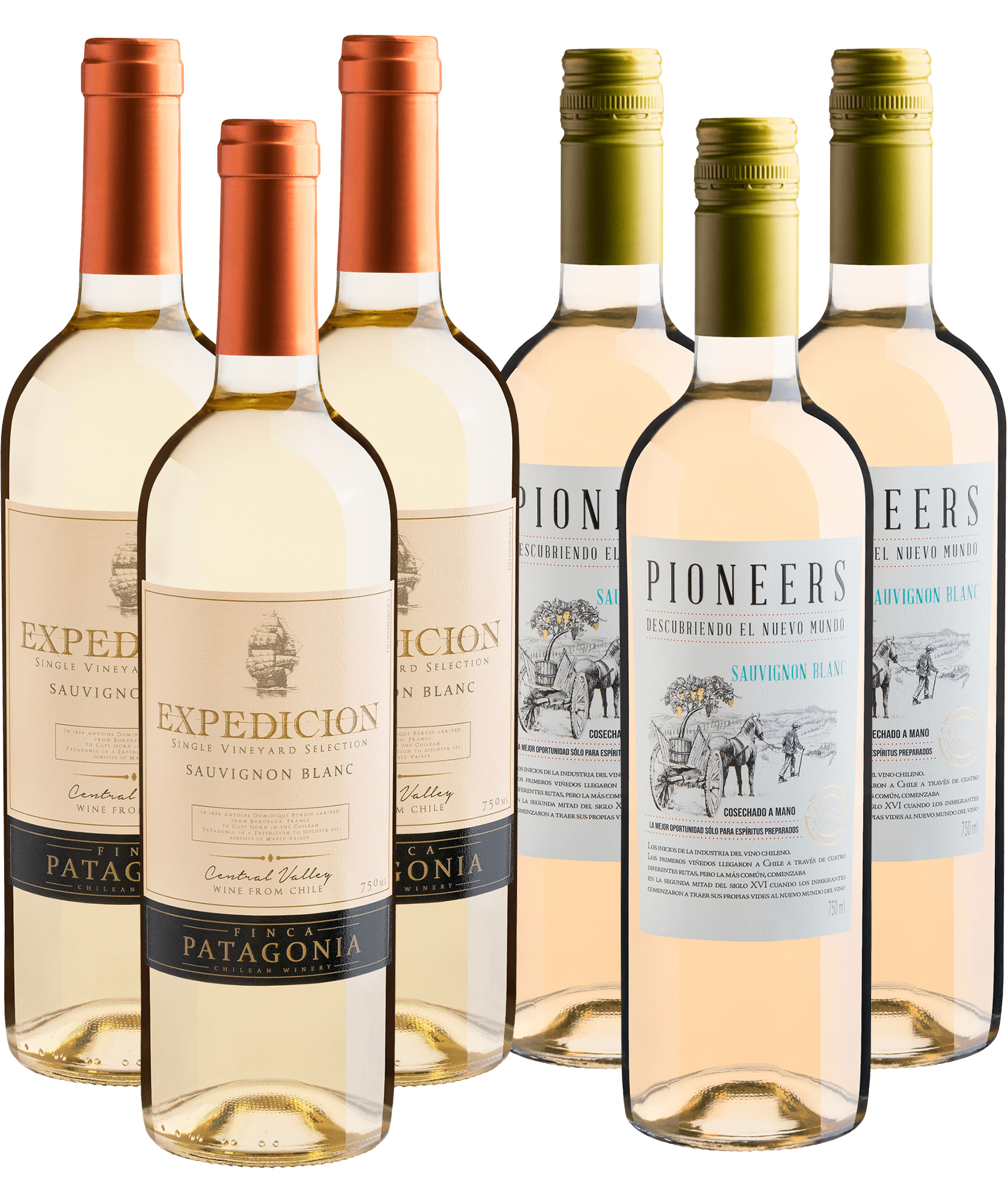 Kit Sauvignon Blanc | 6 garrafas por R$25,90 cada
