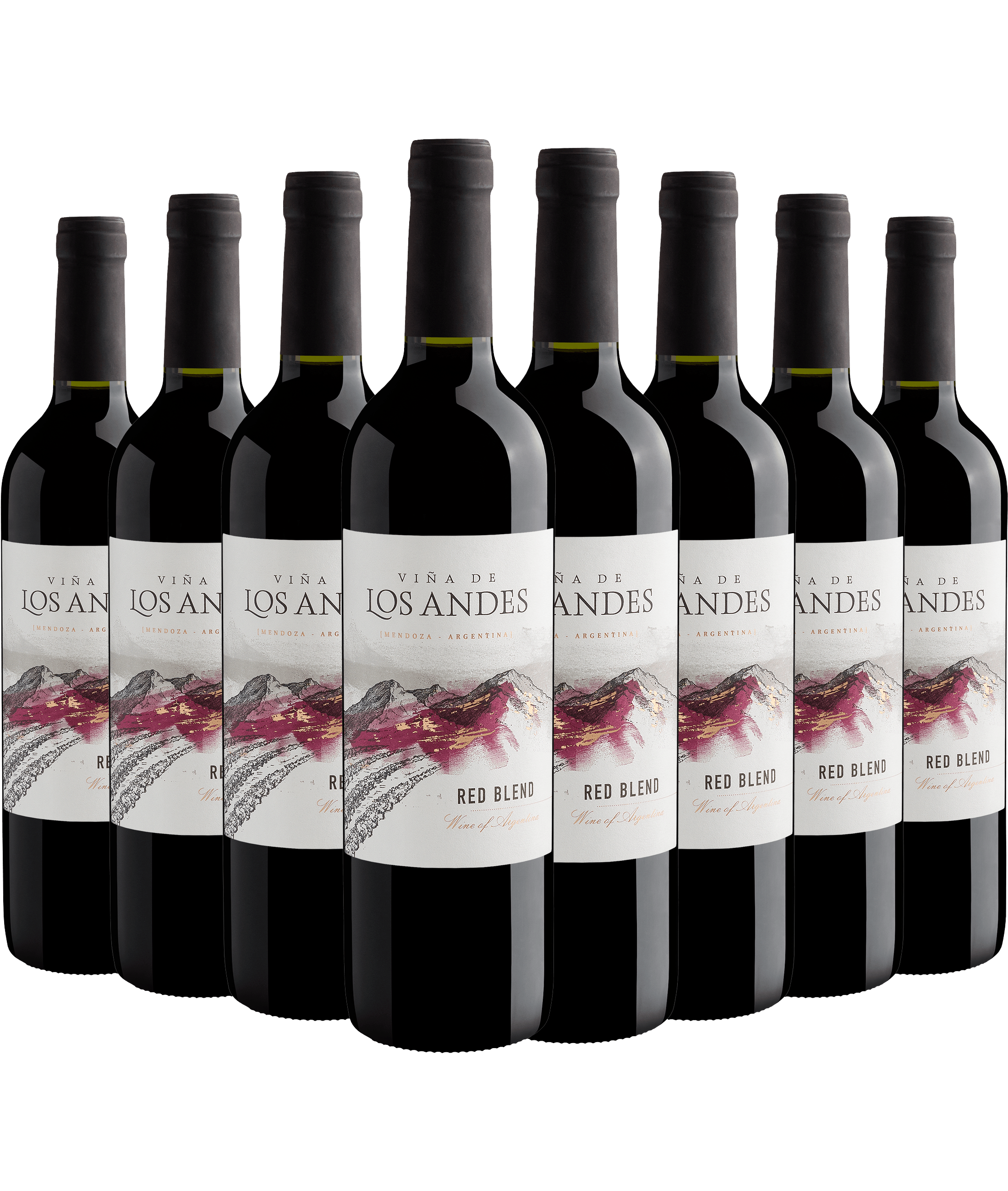 Kit 8 Viña de Los Andes Red Blend