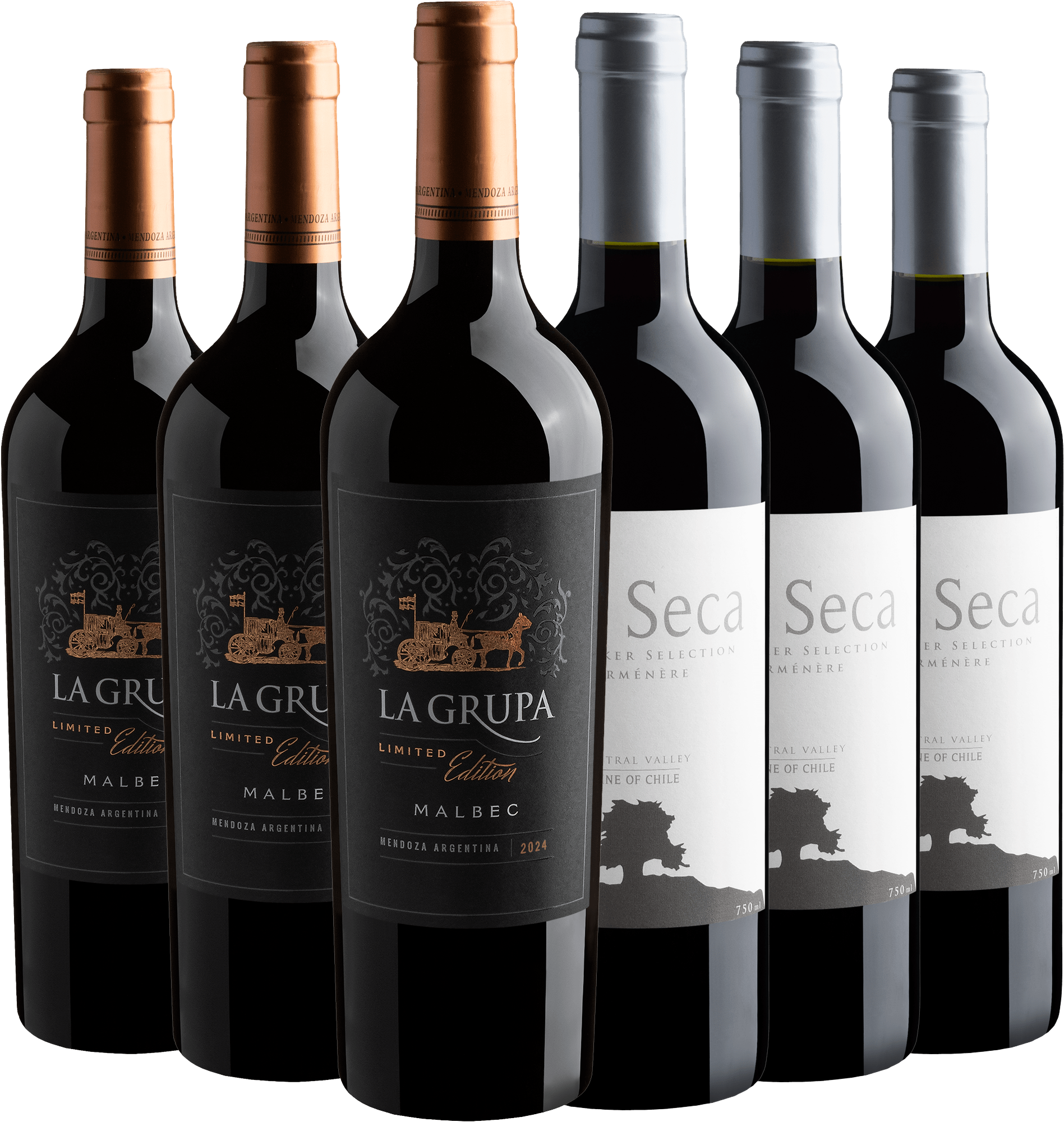 Kit Malbec + Carménère | 6 garrafas por R$29,90 cada