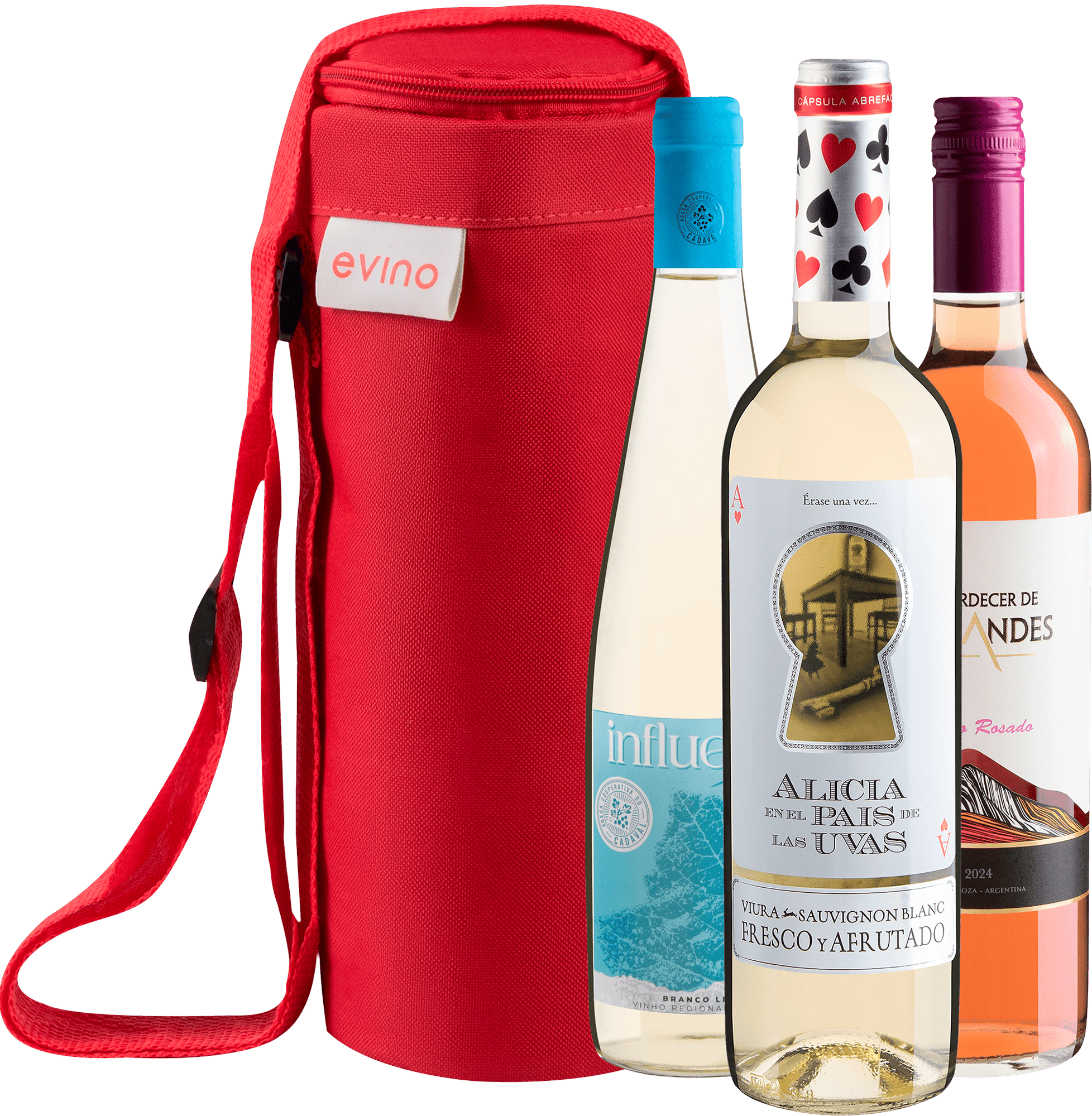 Kit 3 Vinhos Refrescantes + Bolsa Exclusiva