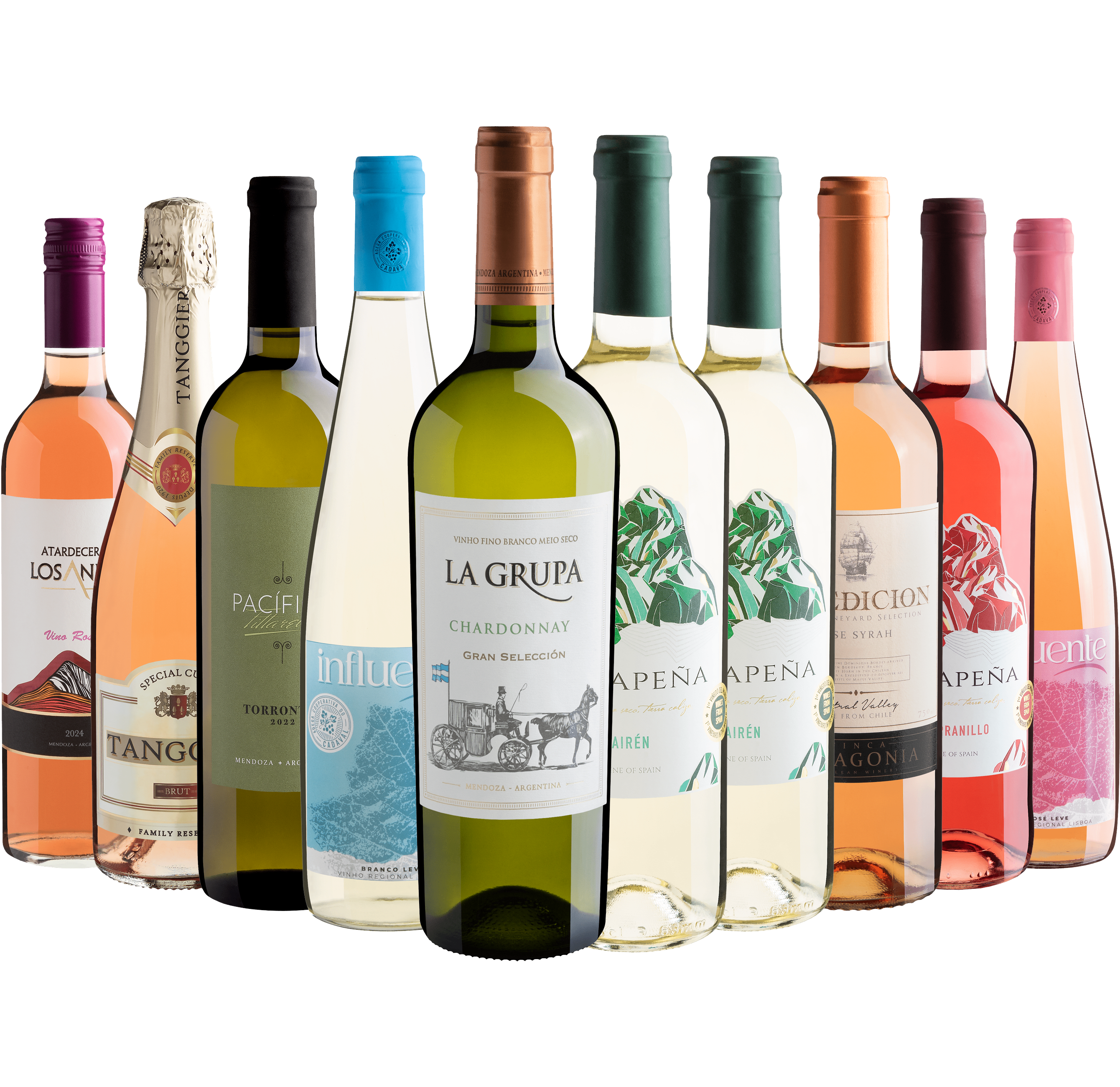 Kit 10 Vinhos Refrescantes por R$29,90 cada garrafa + Frete Grátis*