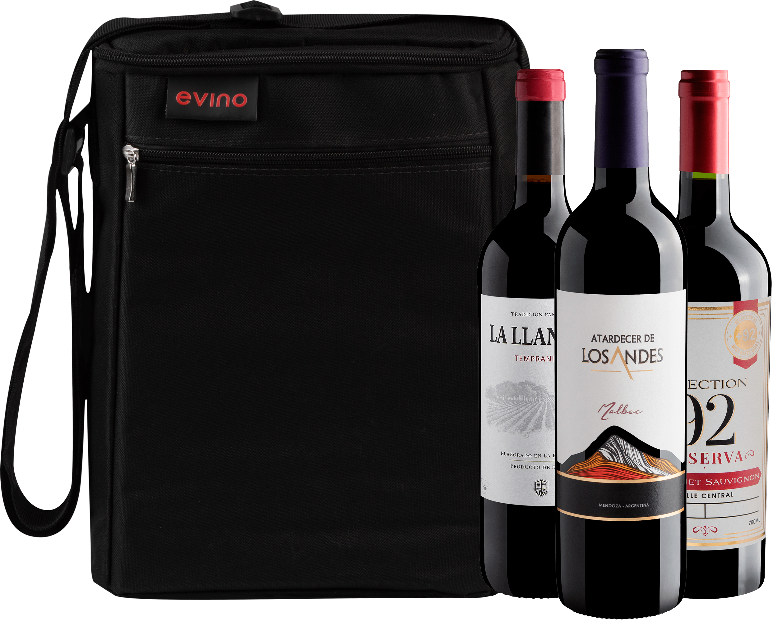 Kit 3 Vinhos Tintos + Bolsa Exclusiva 