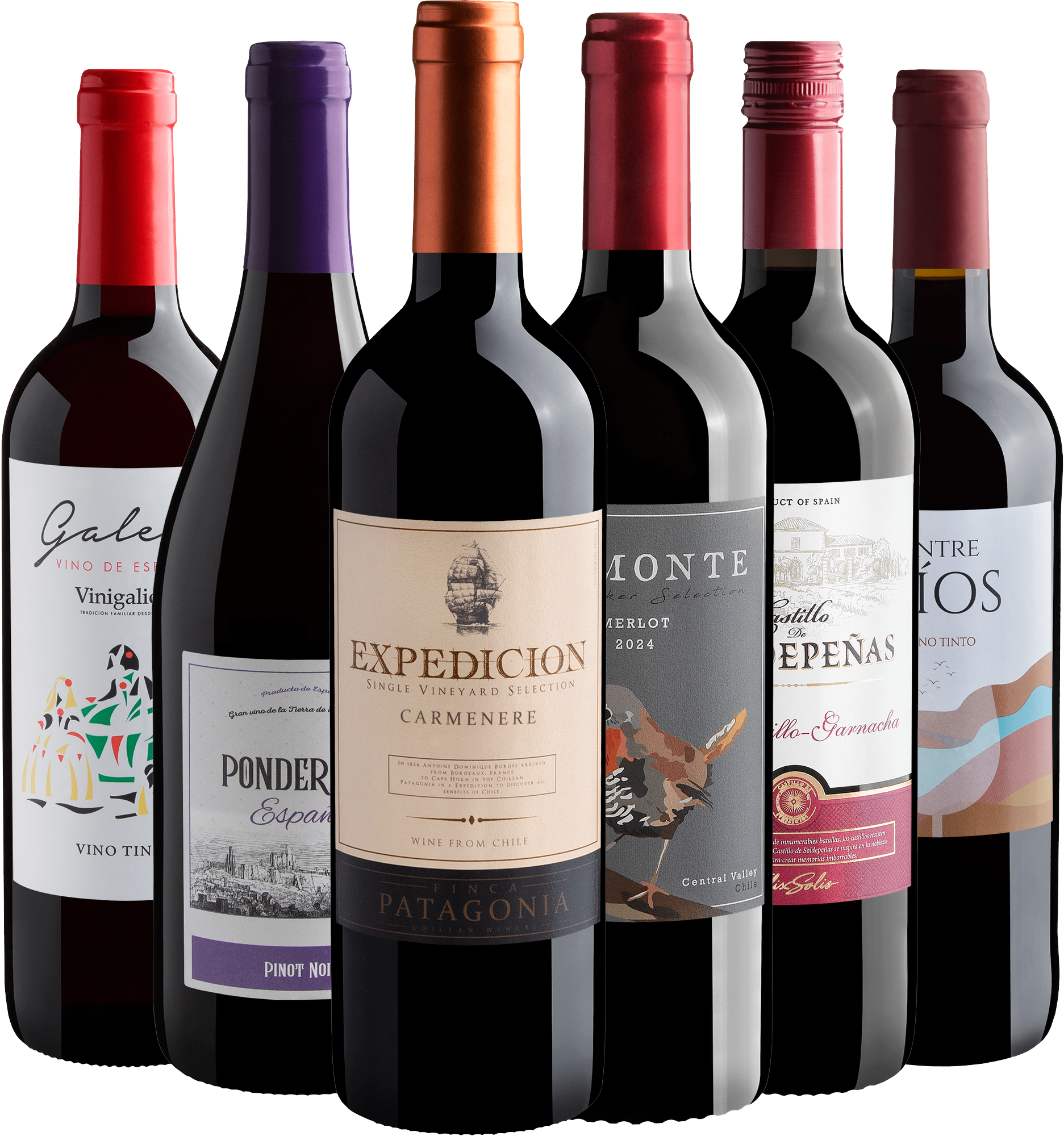 Kit 6 Vinhos Tintos