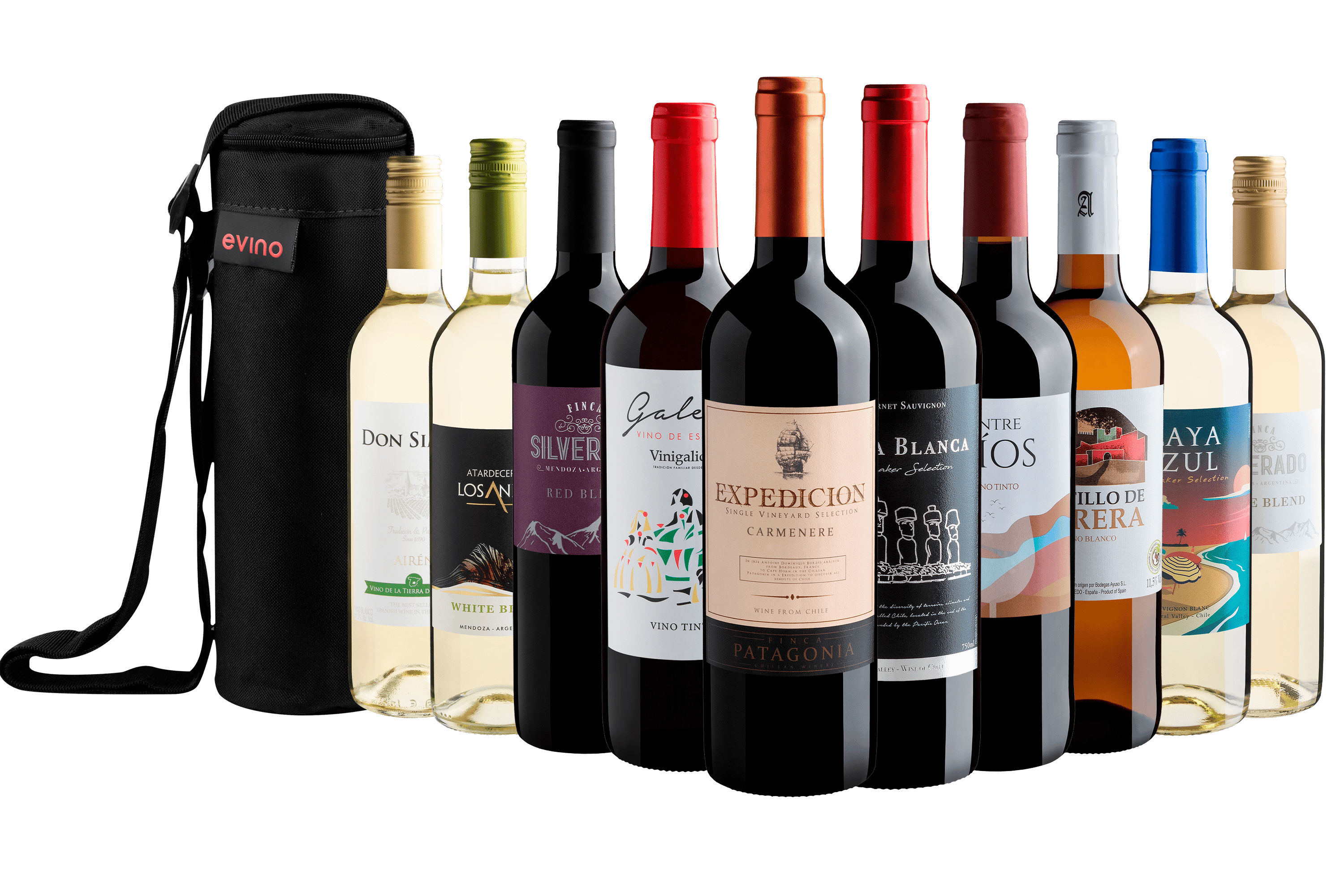 Kit 10 Vinhos por R$29,90 cada garrafa + Bolsa Exclusiva Grátis