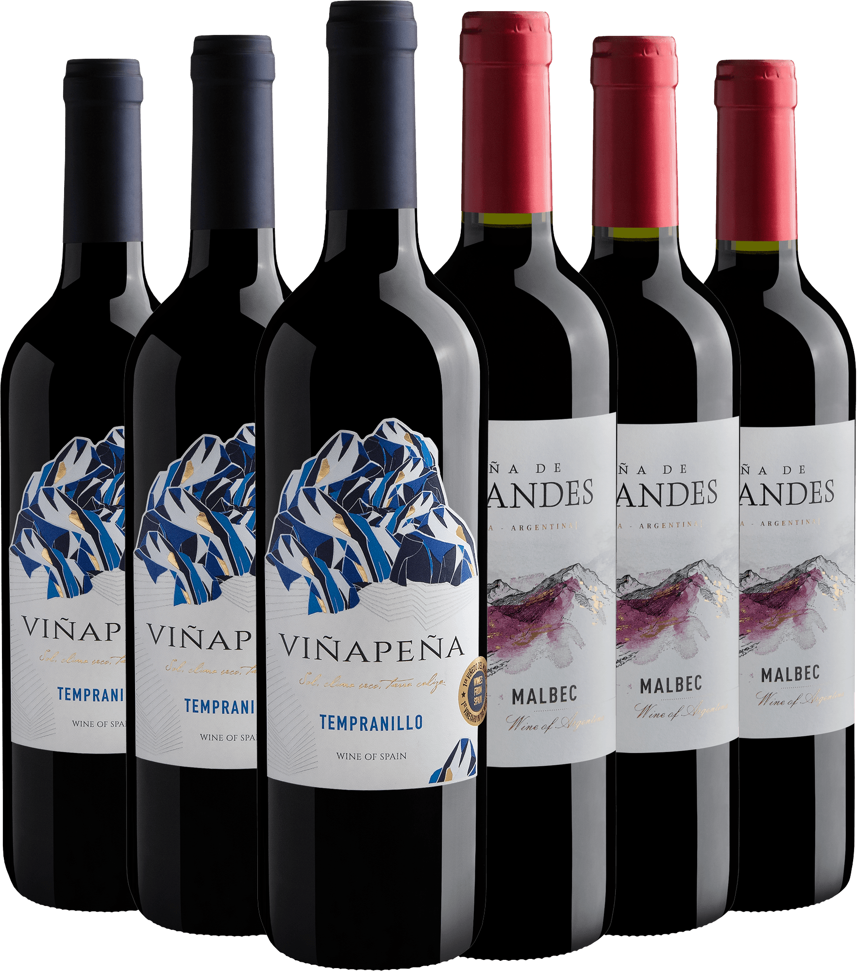 Kit 3 Viñapeña Tempranillo + 3 Viña de Los Andes Malbec por R$26,90 cada garrafa