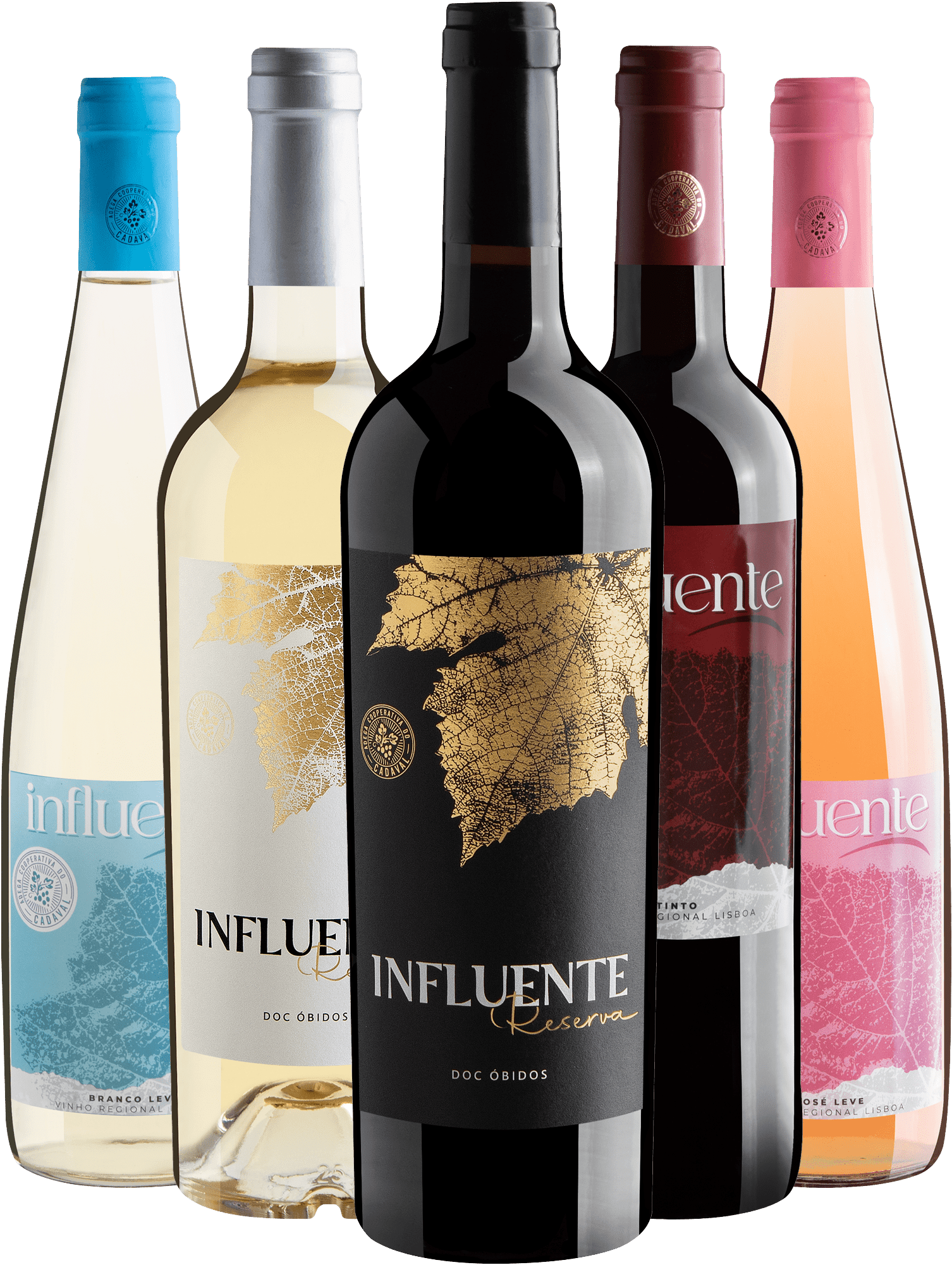 Kit Família Influente: 2 Reserva + 1 Tinto + 1 Branco + 1 Rosé por R$49,90 cada