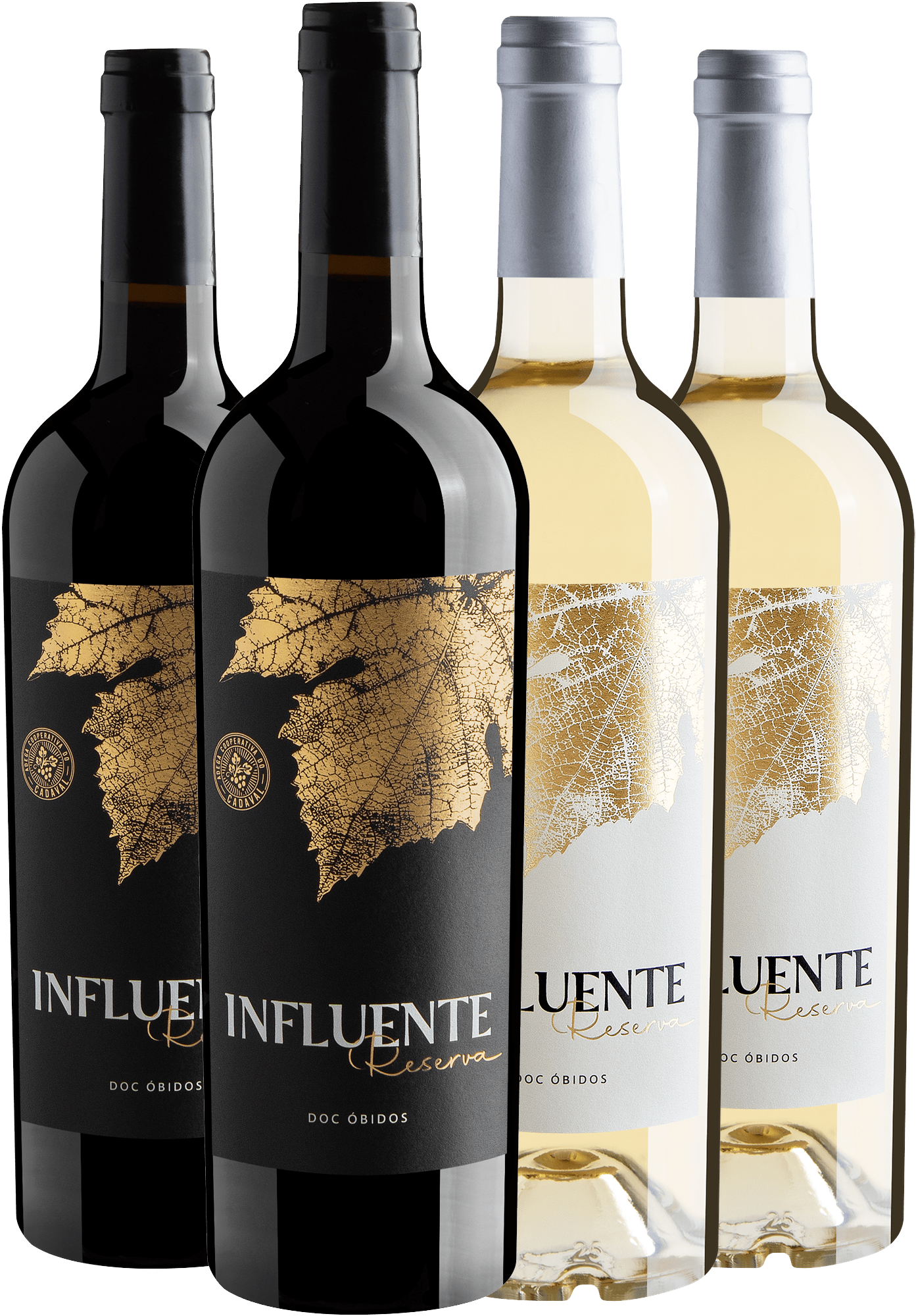Kit Influente Reserva | 2 Tinto + 2 Branco por R$79,90 cada 