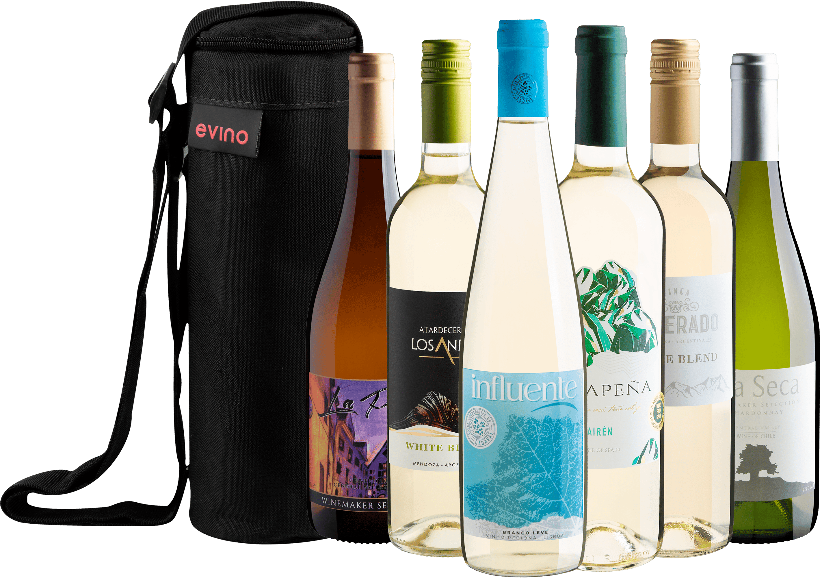 Kit 6 Vinhos Brancos Best Sellers + Bolsa Exclusiva