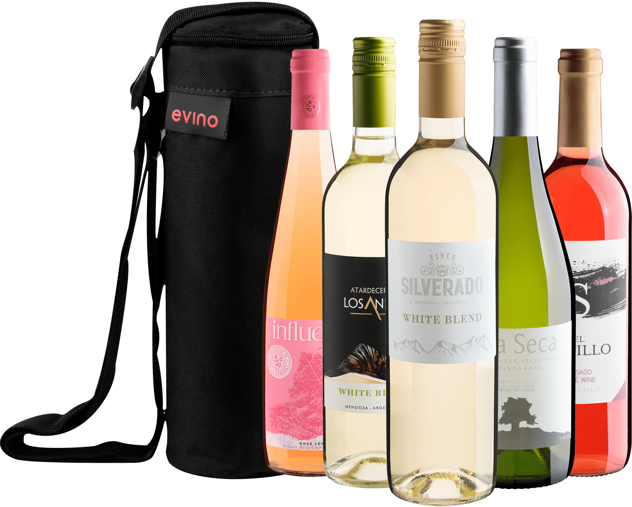 Kit 5 Vinhos Refrescantes + Bolsa Exclusiva Grátis