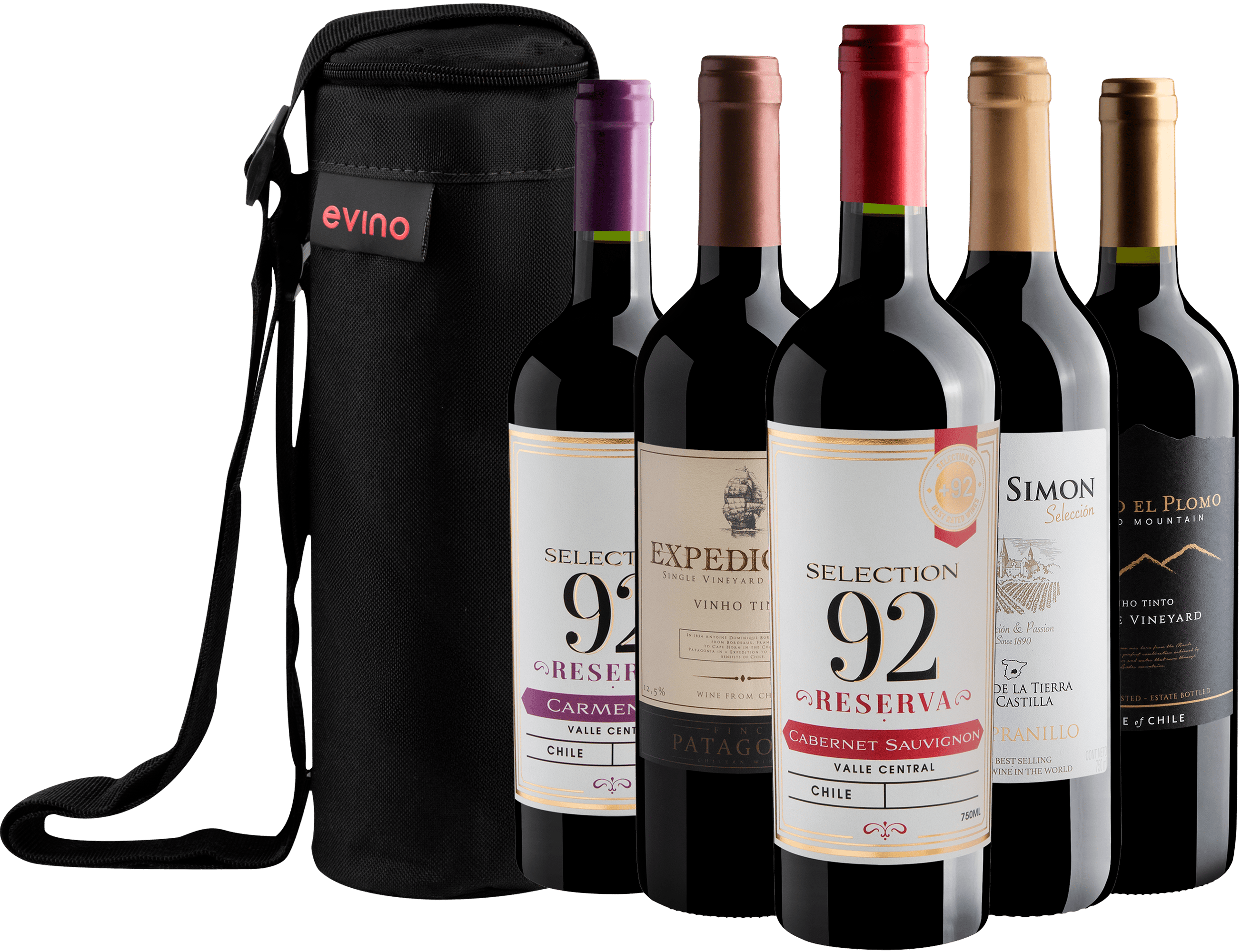 Kit 5 Vinhos Tintos + Bolsa Exclusiva