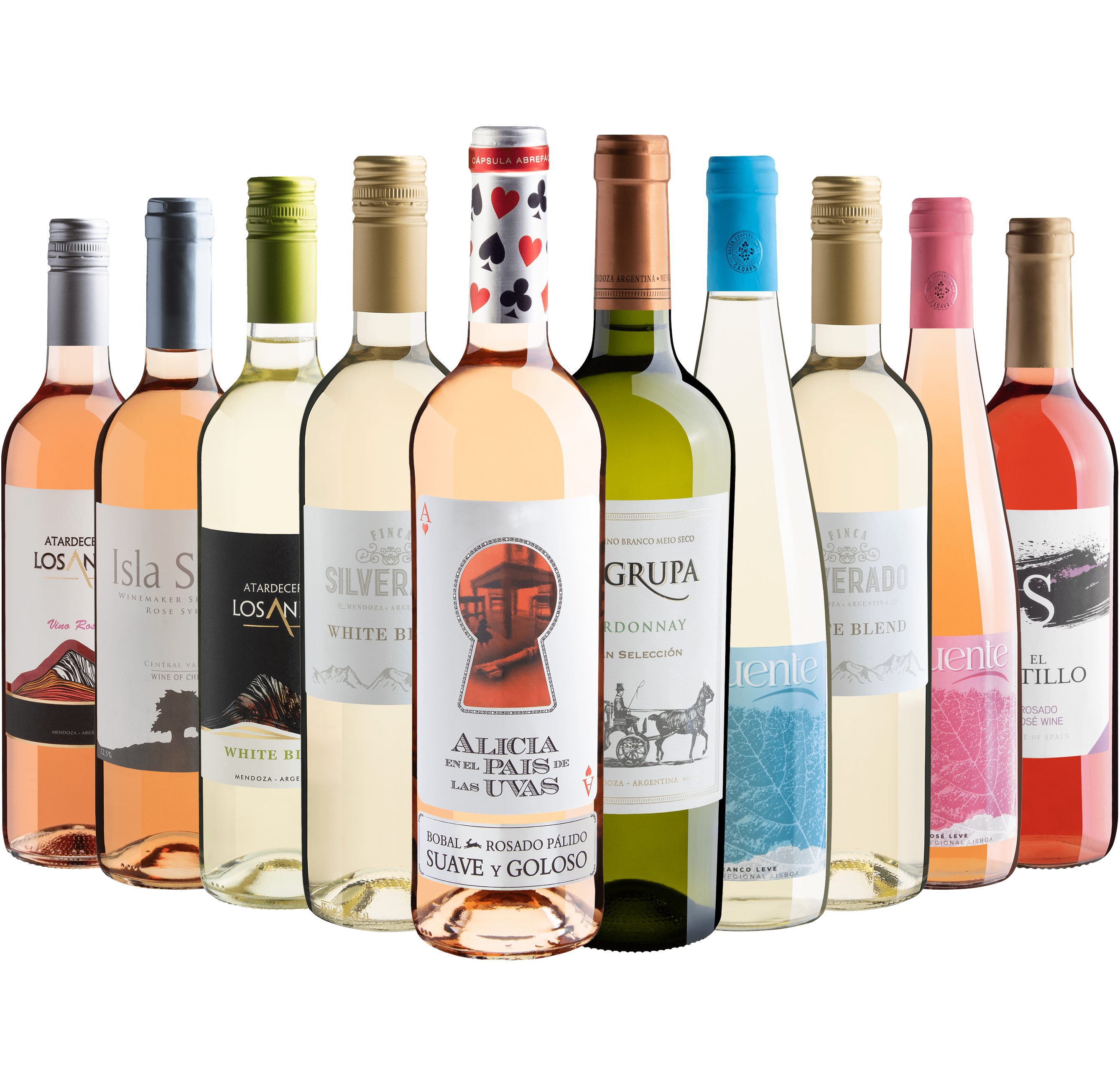 Kit 10 Vinhos Refrescantes com Alicia en el Pais de Las Uvas
